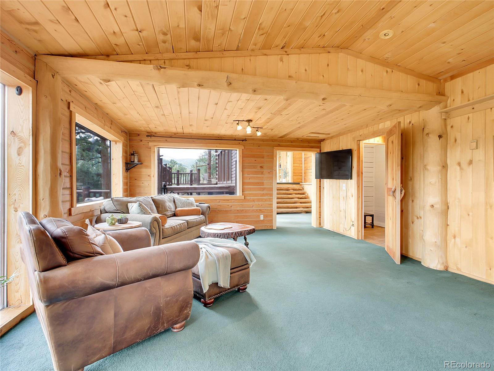 MLS Image #9 for 226  bandit lane,bailey, Colorado