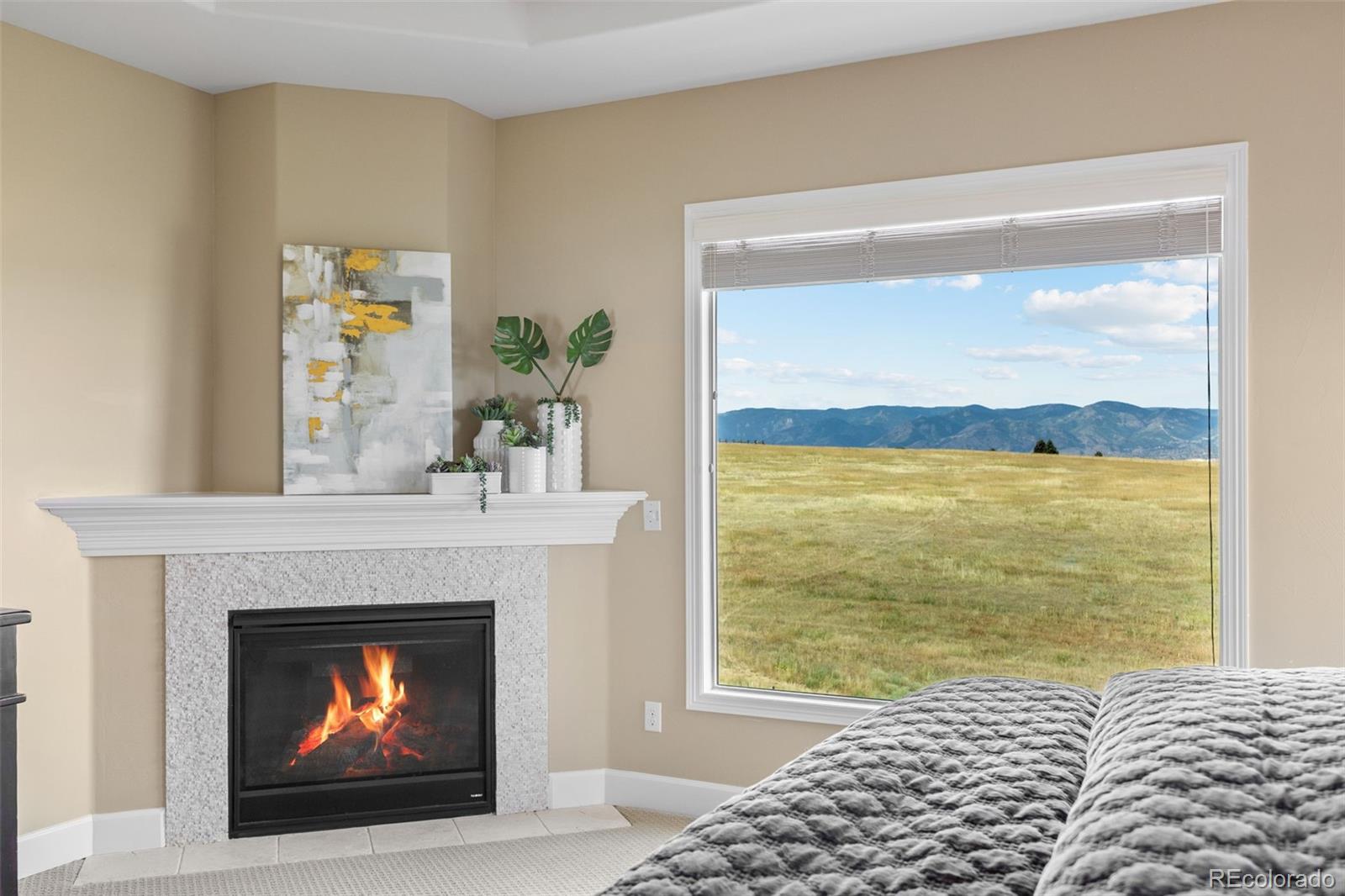 MLS Image #20 for 10737  manorstone drive,littleton, Colorado
