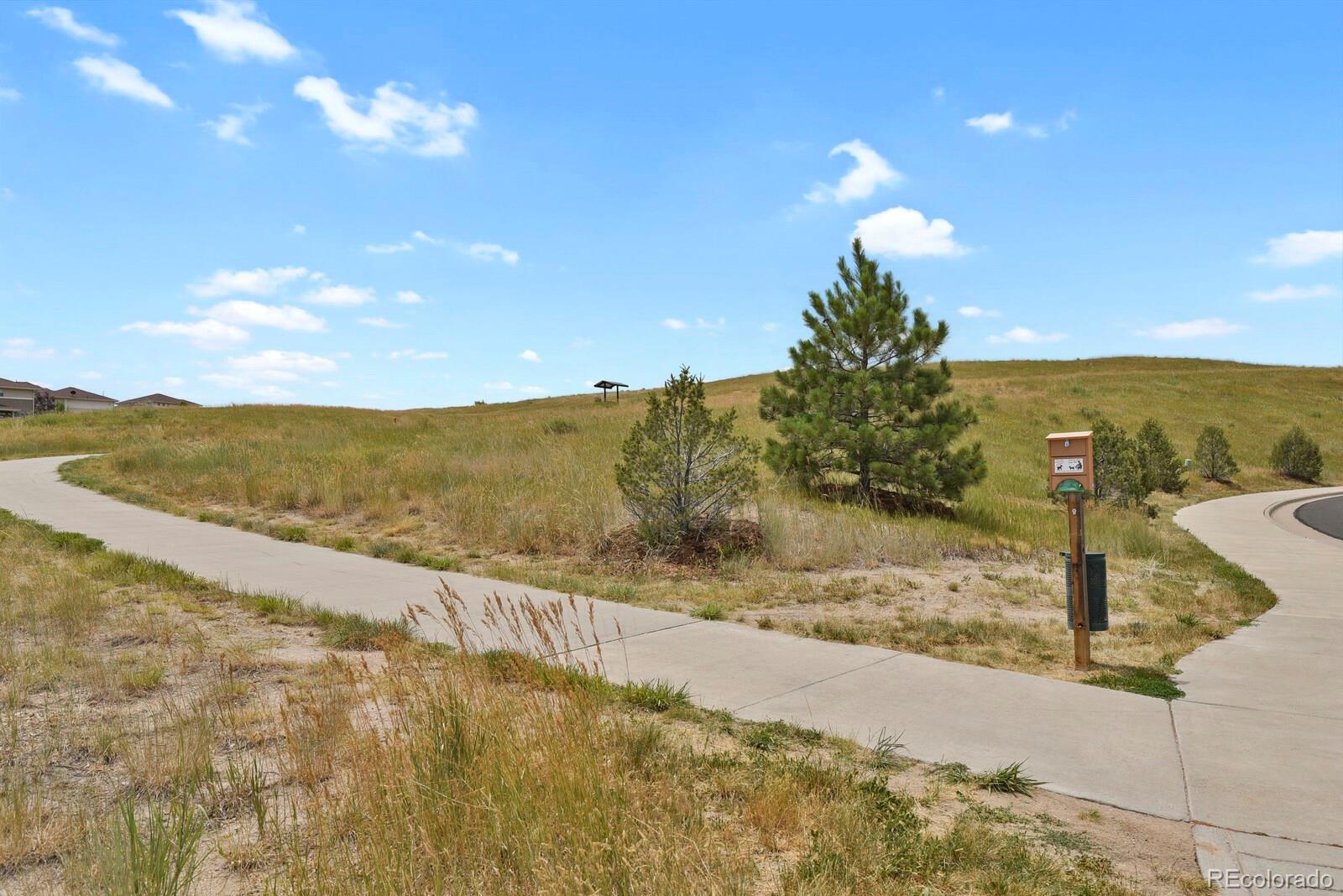 MLS Image #2 for 4186  elegant street,castle rock, Colorado