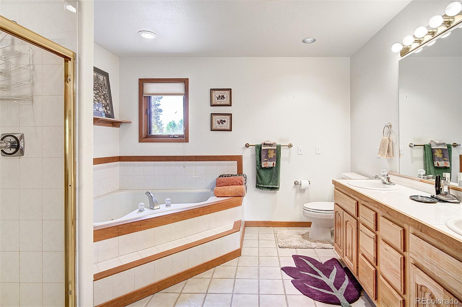 MLS Image #18 for 1690  falcon circle,silverthorne, Colorado