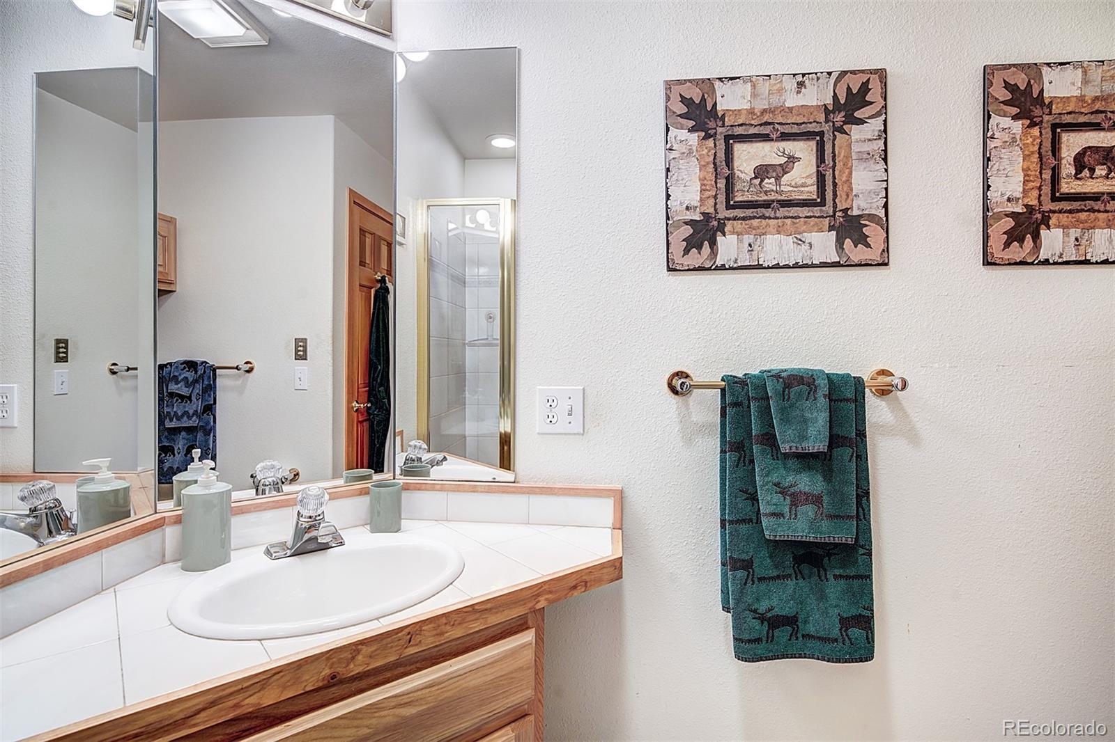 MLS Image #29 for 1690  falcon circle,silverthorne, Colorado