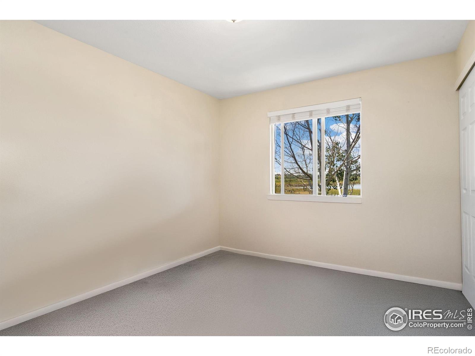 MLS Image #9 for 10420  butte drive,longmont, Colorado