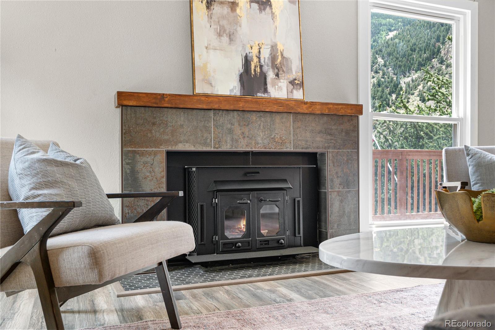 MLS Image #10 for 2025  alliance drive,georgetown, Colorado