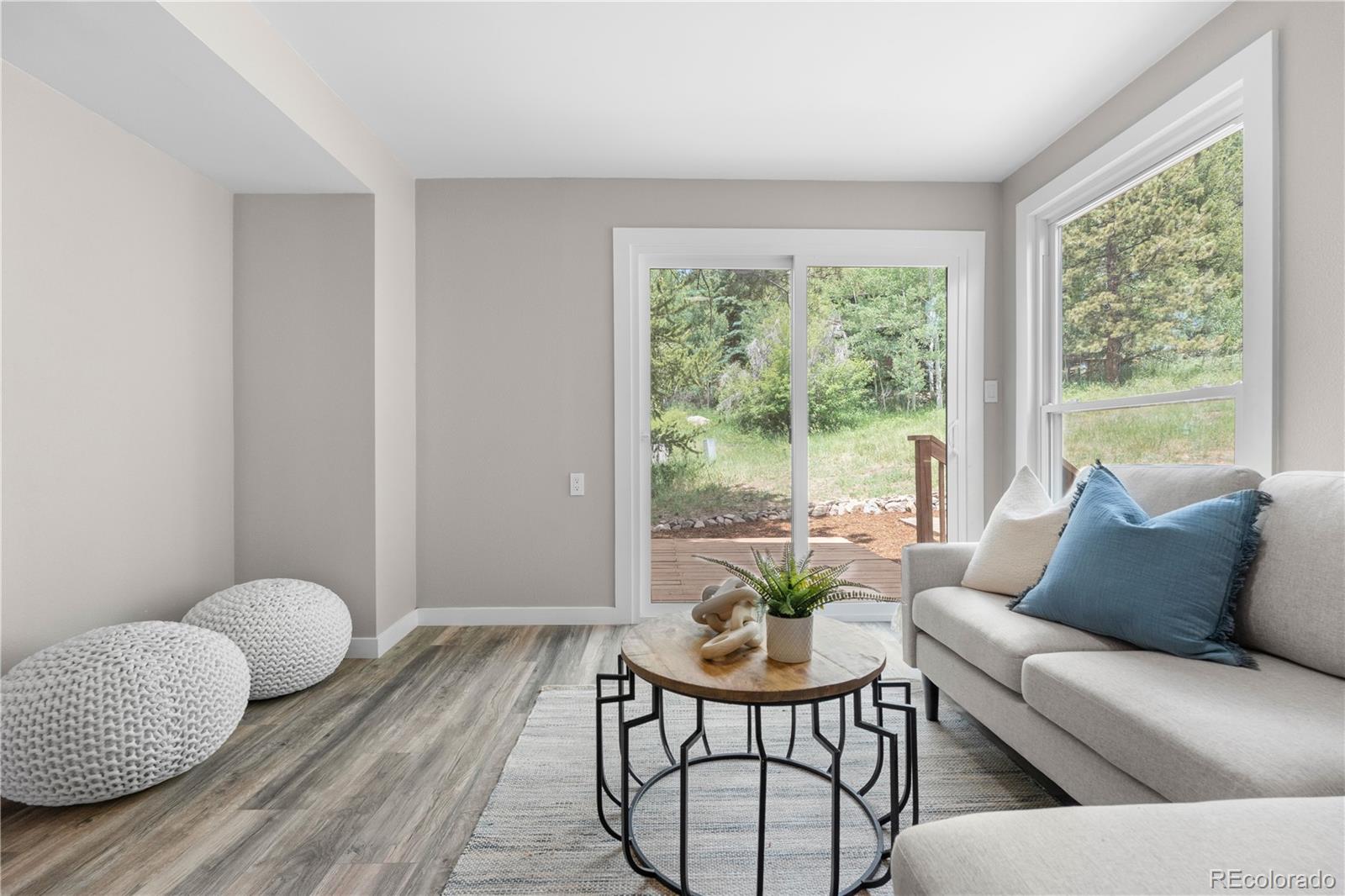 MLS Image #15 for 2025  alliance drive,georgetown, Colorado