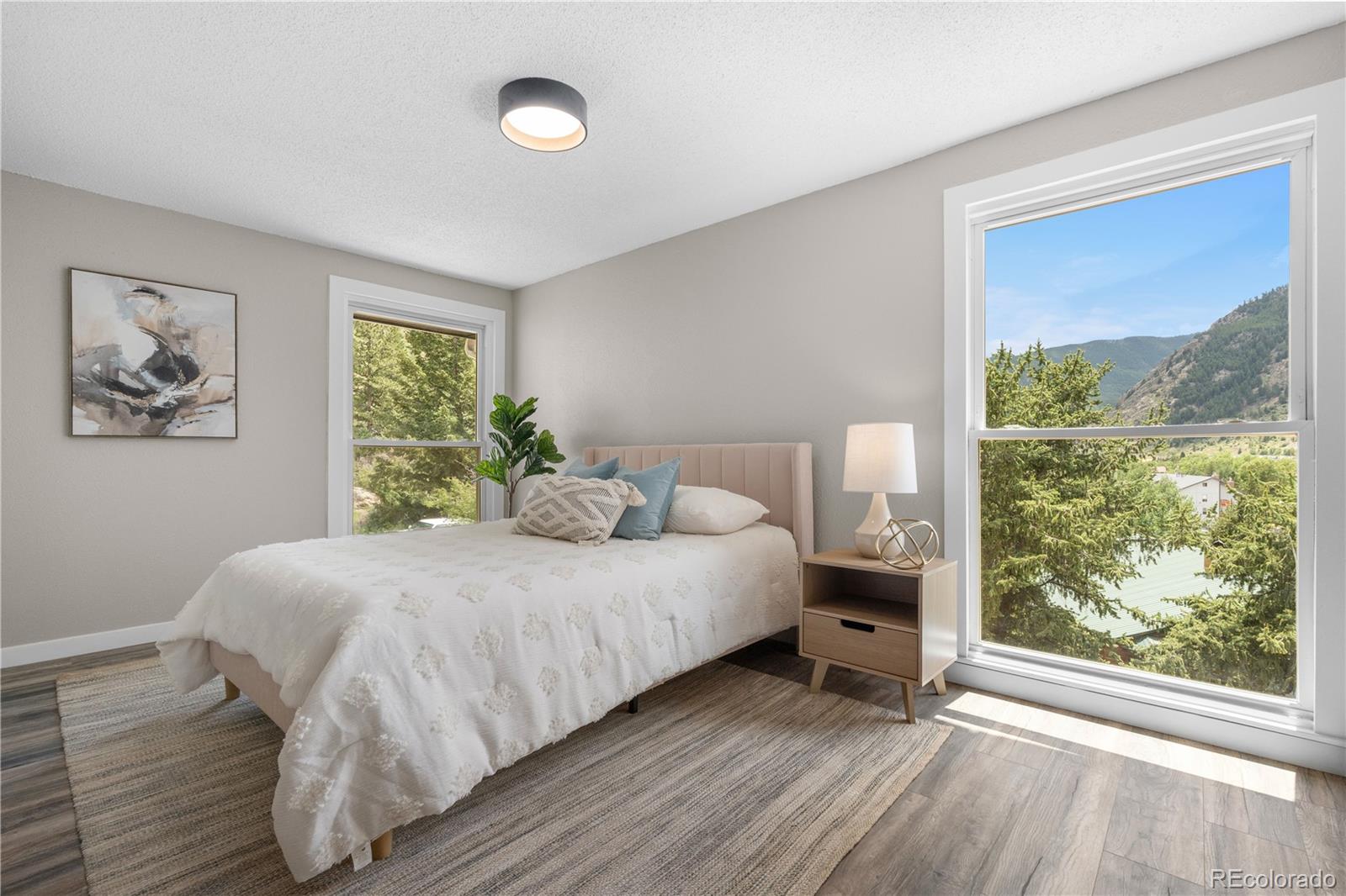 MLS Image #16 for 2025  alliance drive,georgetown, Colorado
