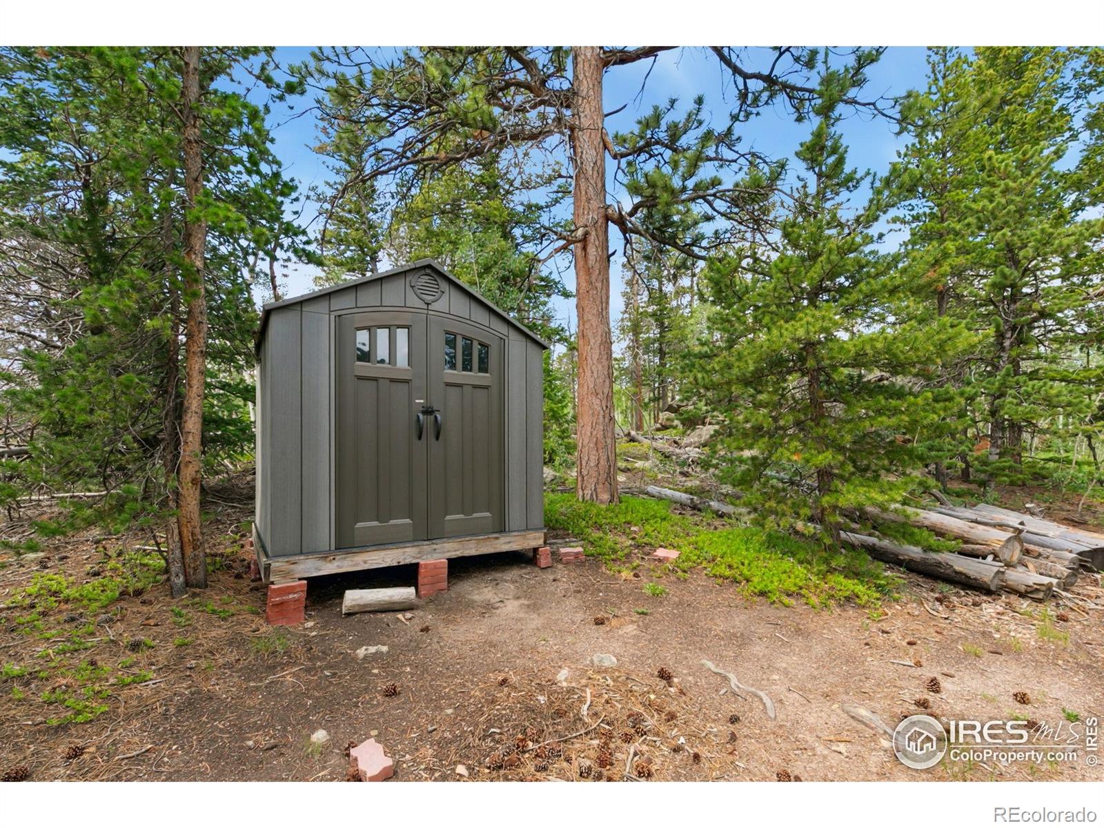 MLS Image #19 for 535  chiricahua circle,red feather lakes, Colorado