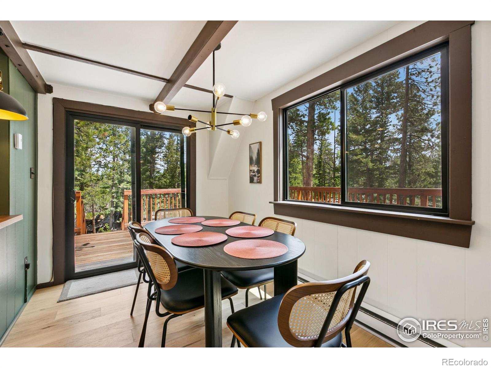 MLS Image #9 for 535  chiricahua circle,red feather lakes, Colorado