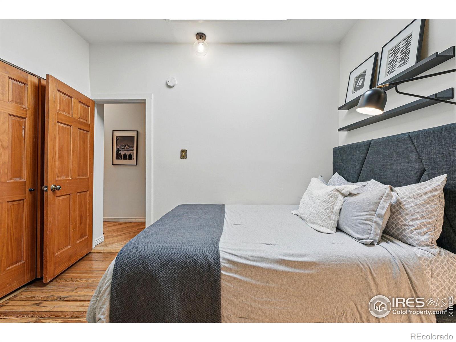 MLS Image #21 for 2955  columbine street,denver, Colorado