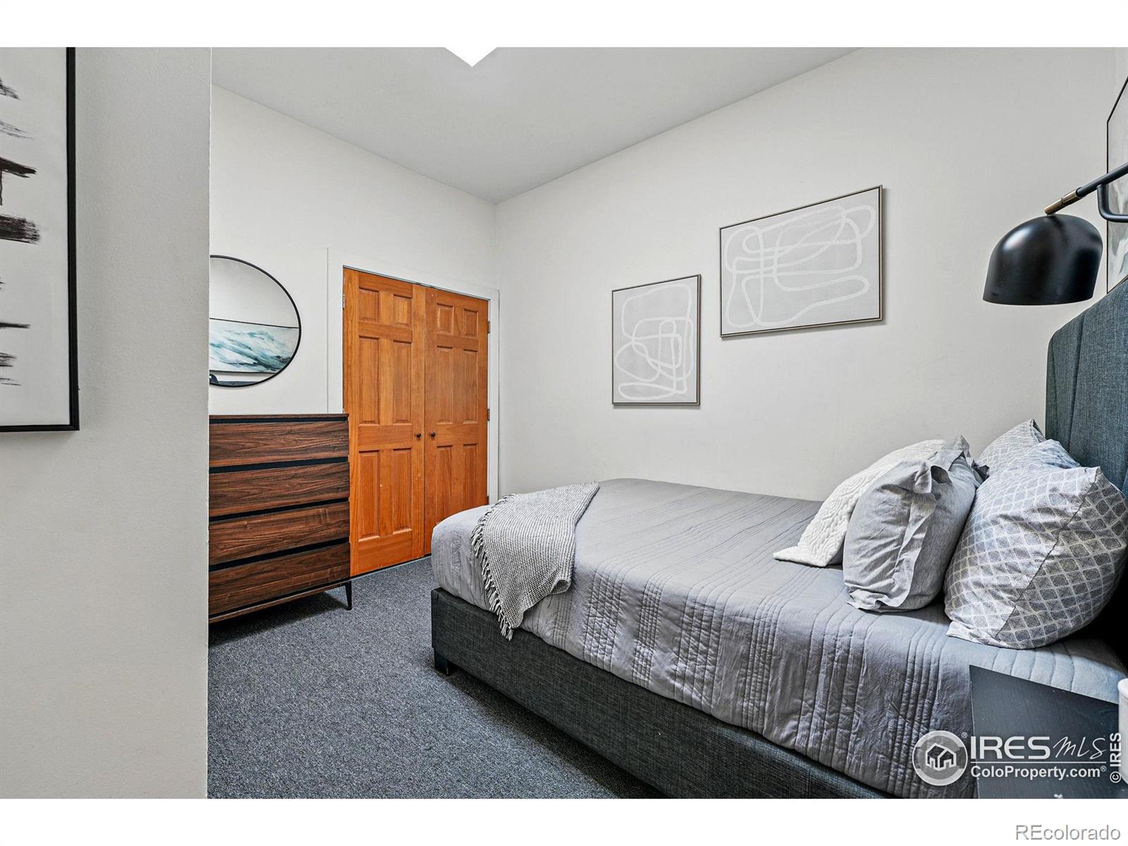 MLS Image #25 for 2955  columbine street,denver, Colorado