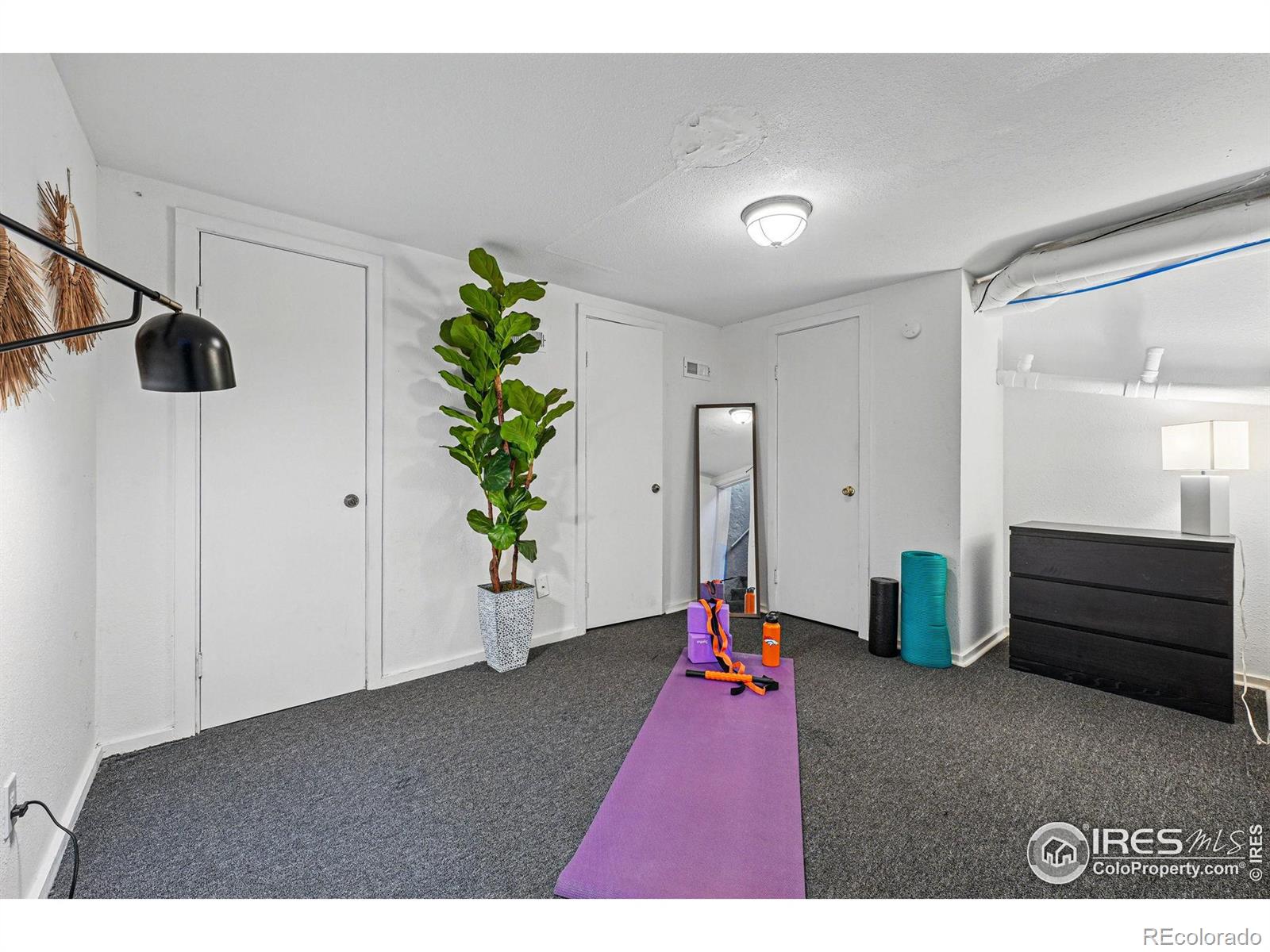 MLS Image #27 for 2955  columbine street,denver, Colorado