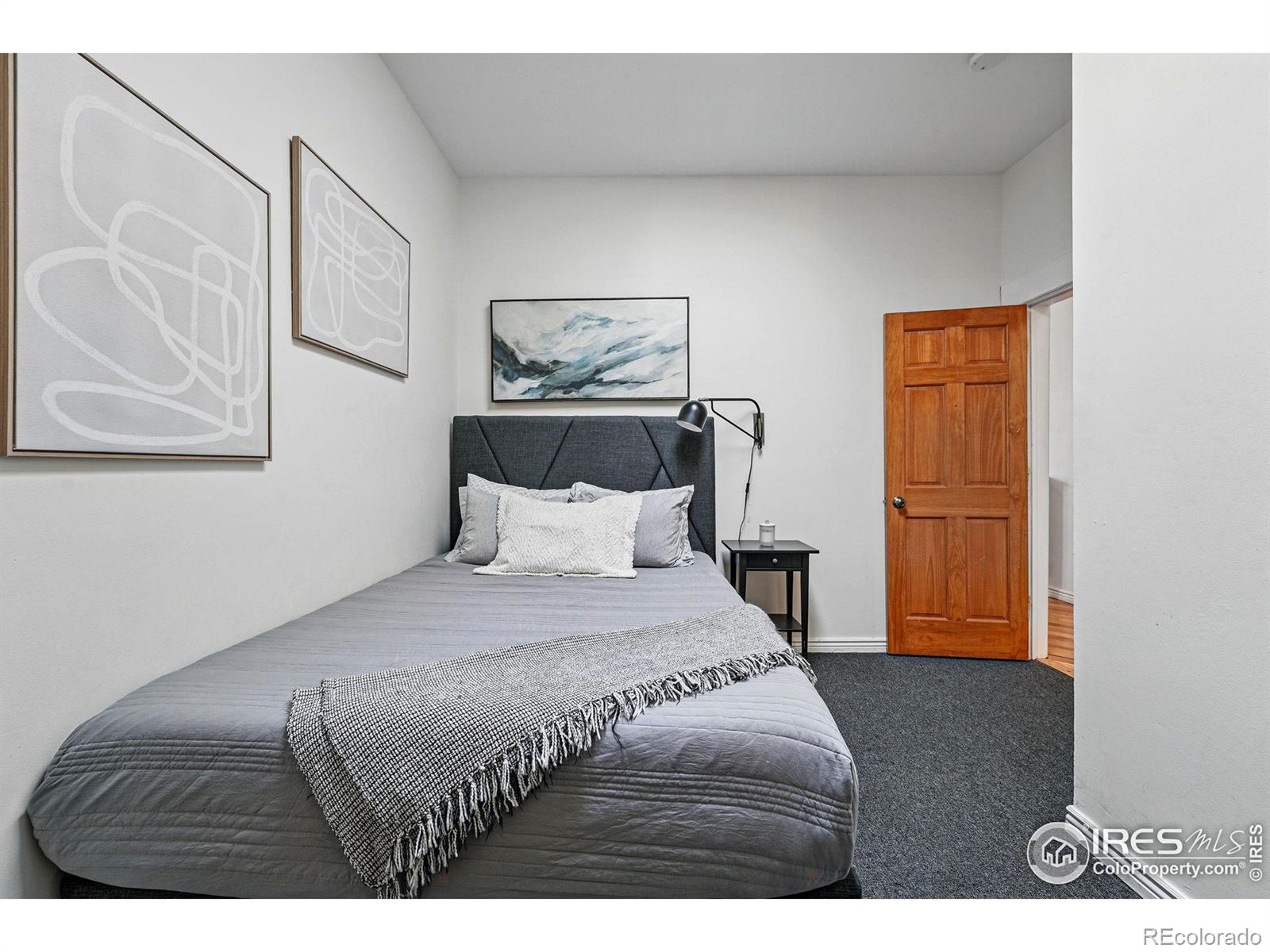 MLS Image #28 for 2955  columbine street,denver, Colorado