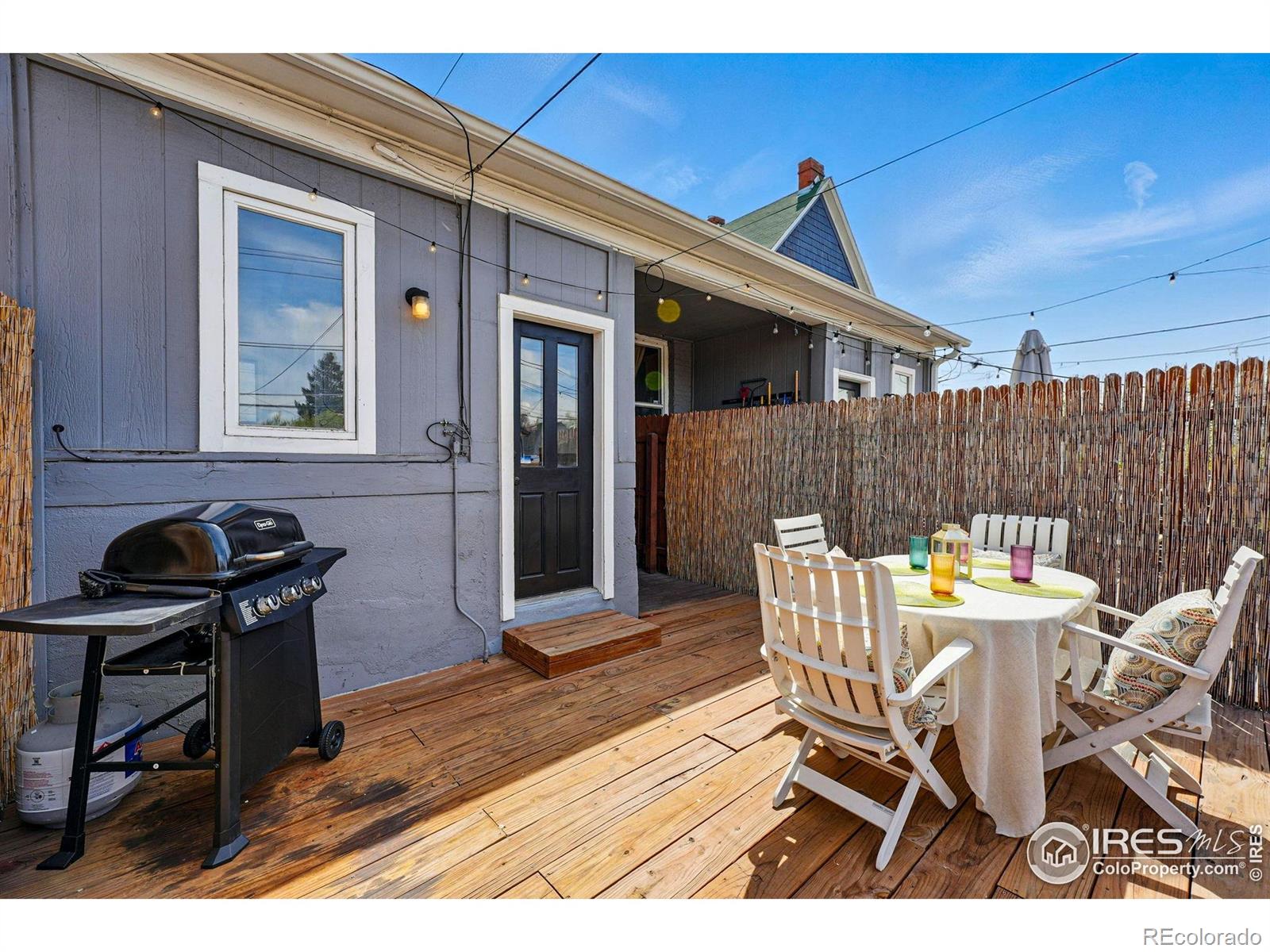 MLS Image #29 for 2955  columbine street,denver, Colorado