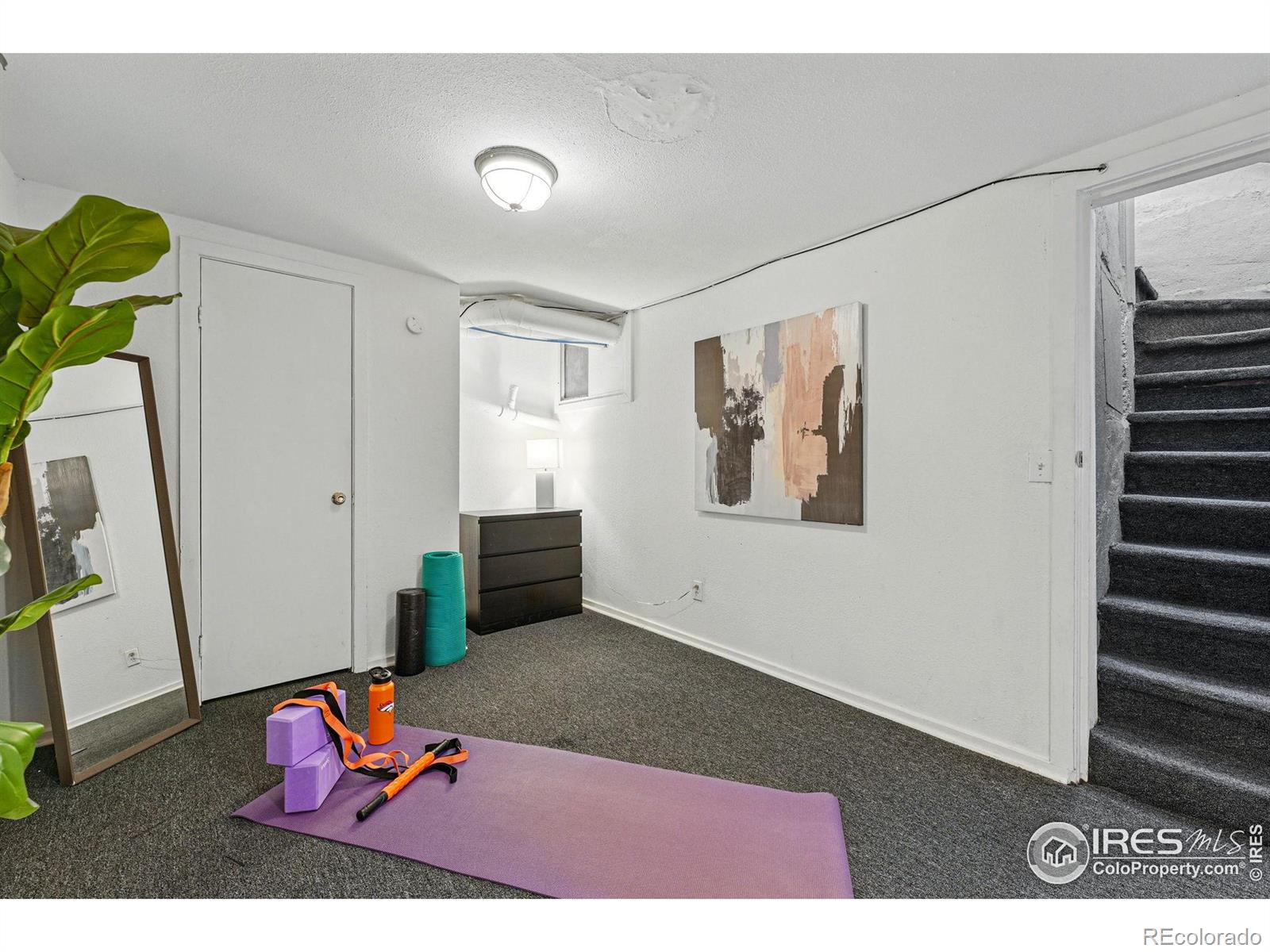 MLS Image #30 for 2955  columbine street,denver, Colorado