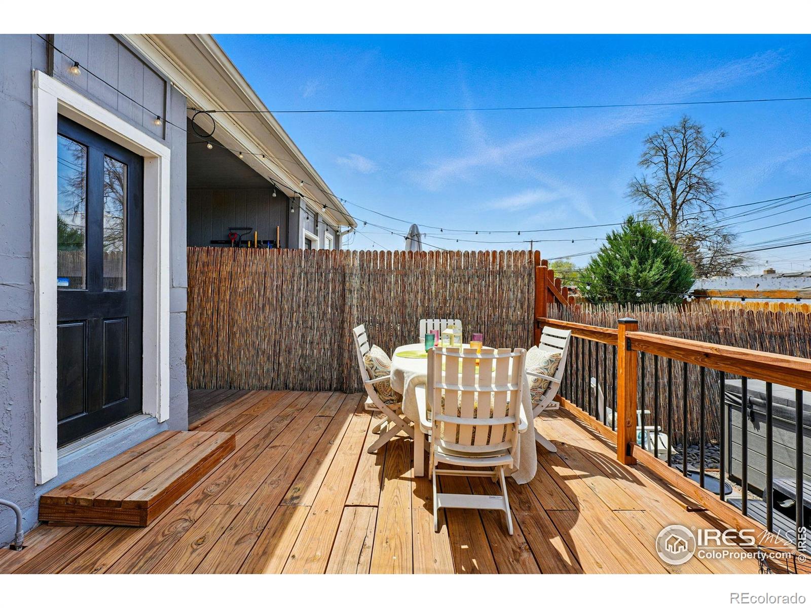 MLS Image #31 for 2955  columbine street,denver, Colorado