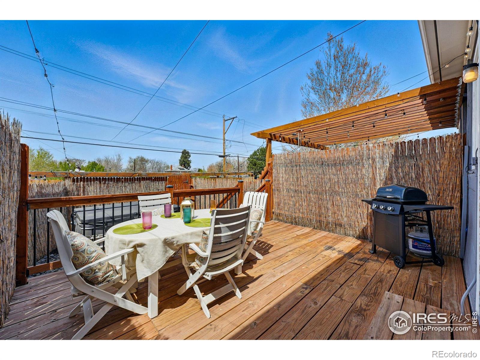 MLS Image #33 for 2955  columbine street,denver, Colorado