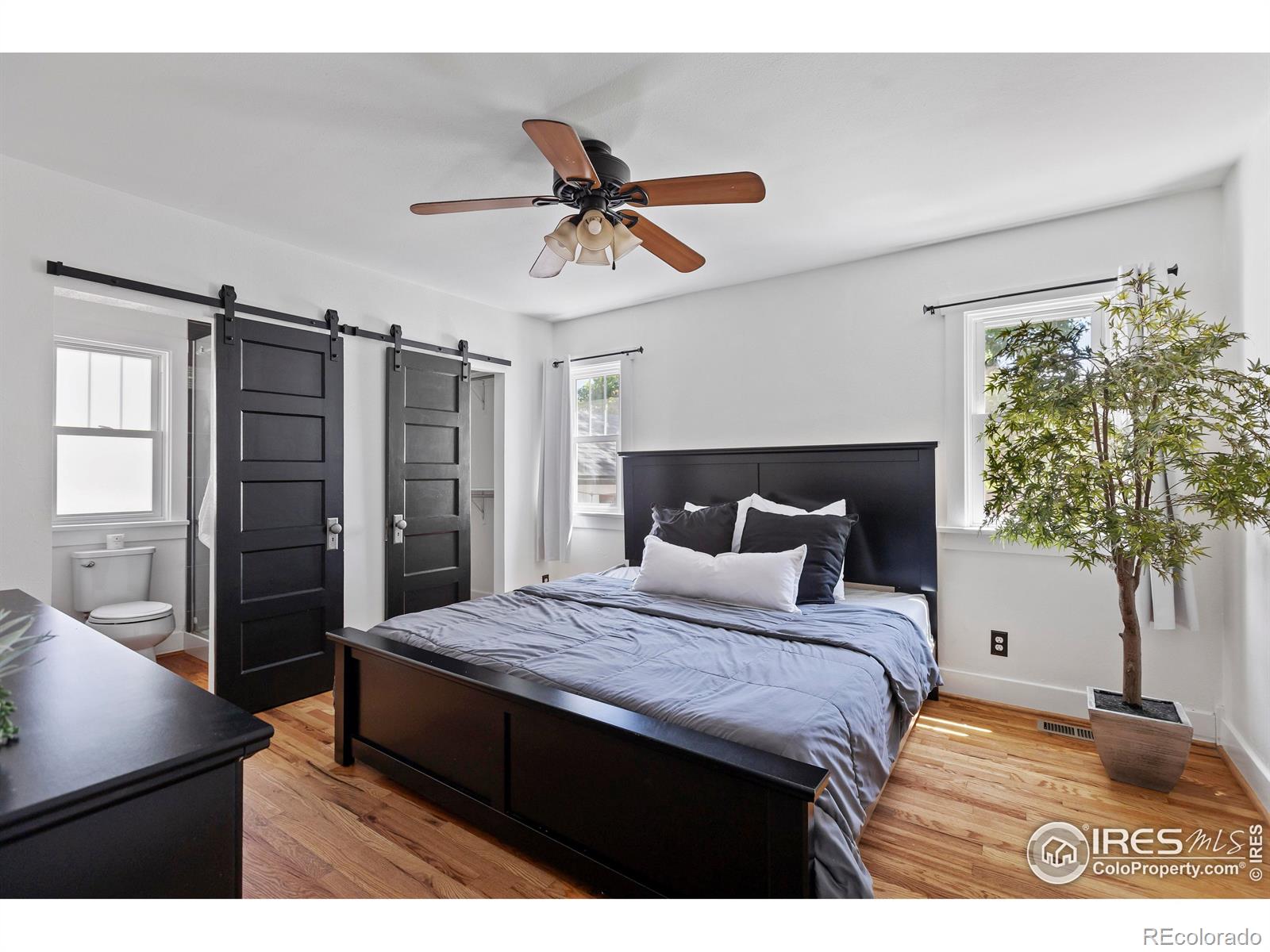 MLS Image #15 for 834  emery street,longmont, Colorado