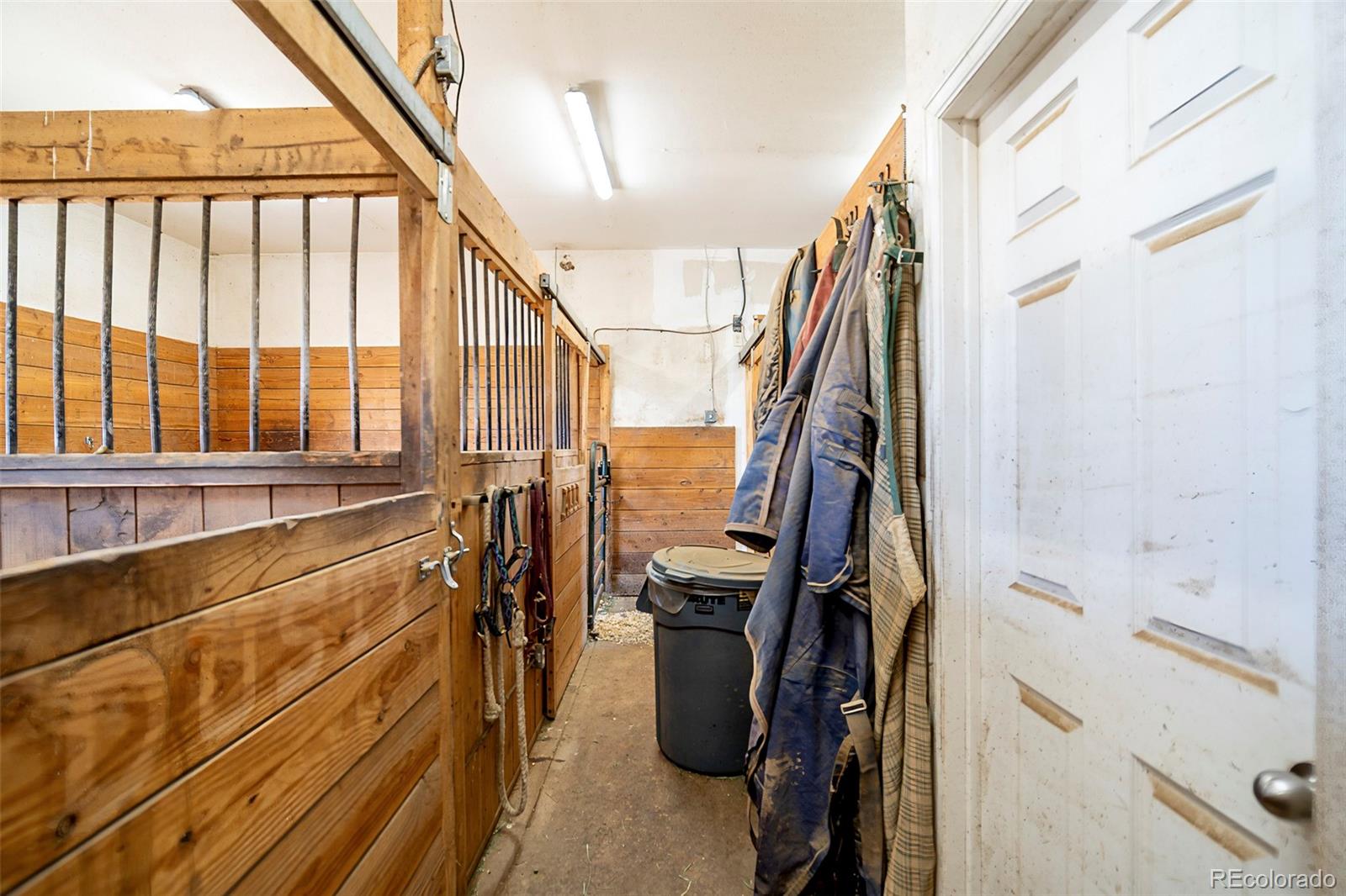 MLS Image #38 for 1434  arabian trail,elizabeth, Colorado