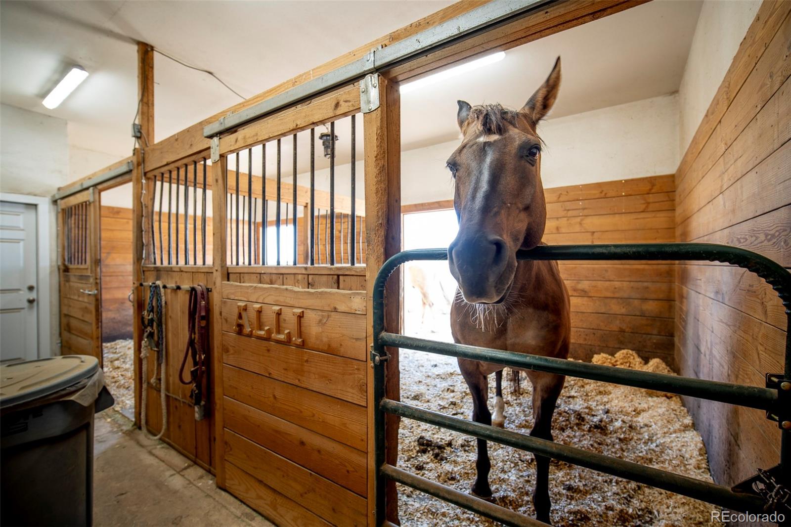 MLS Image #39 for 1434  arabian trail,elizabeth, Colorado