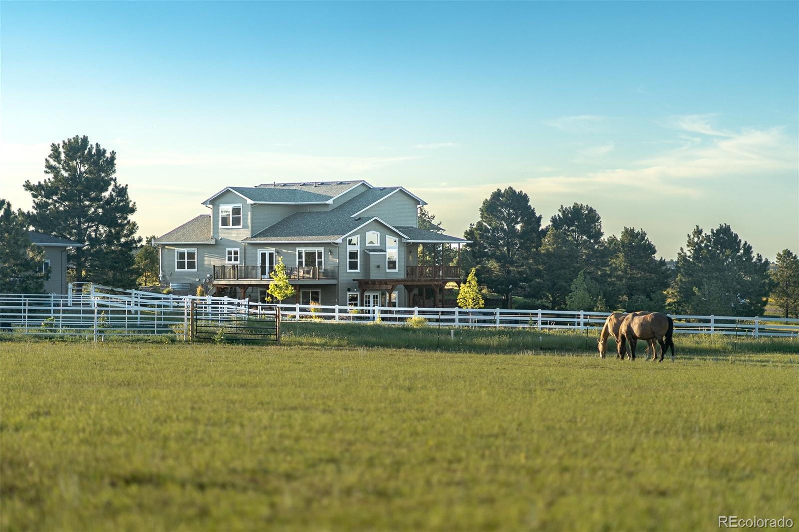 MLS Image #6 for 1434  arabian trail,elizabeth, Colorado