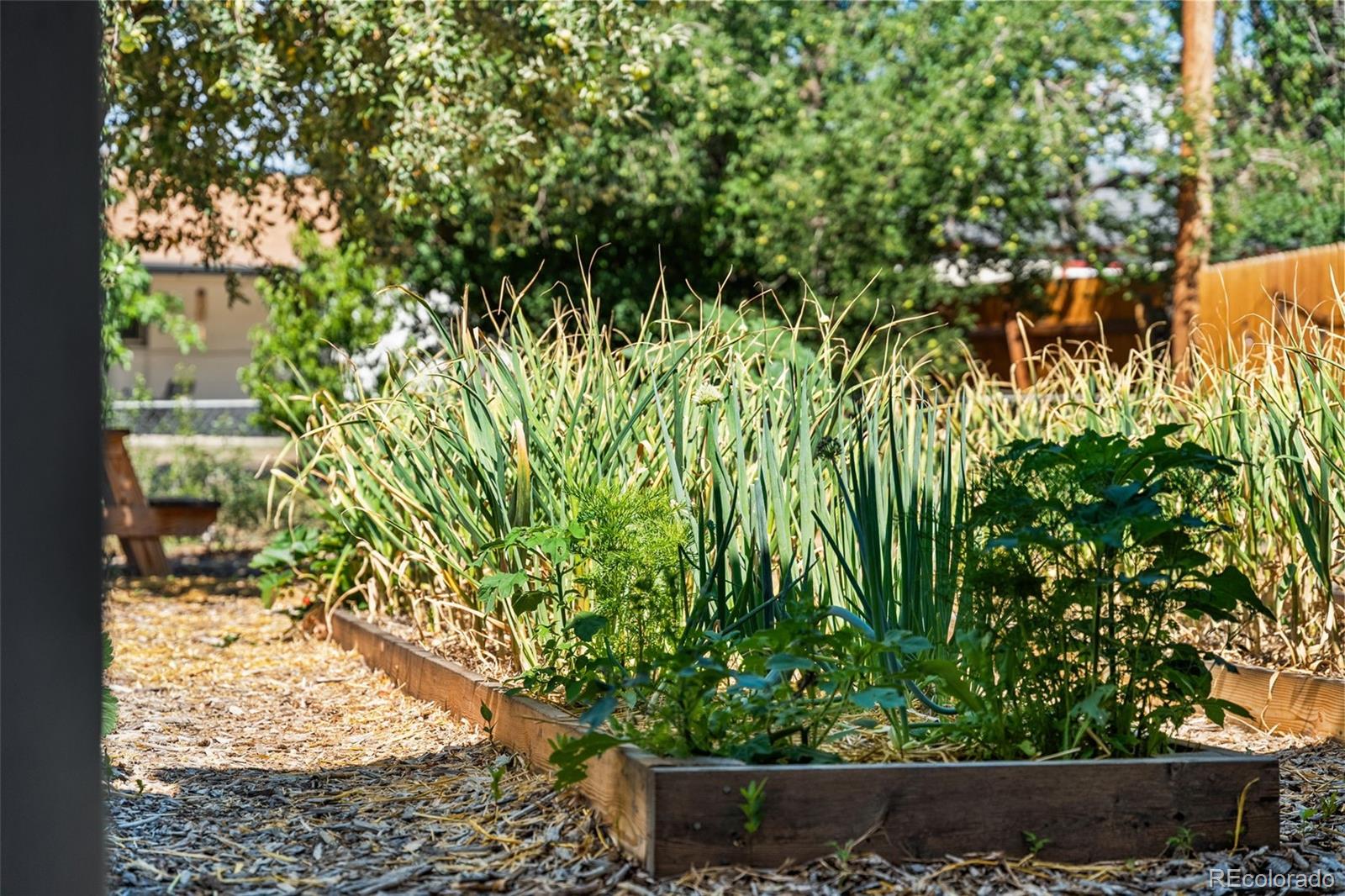 MLS Image #37 for 1615 s zenobia street,denver, Colorado