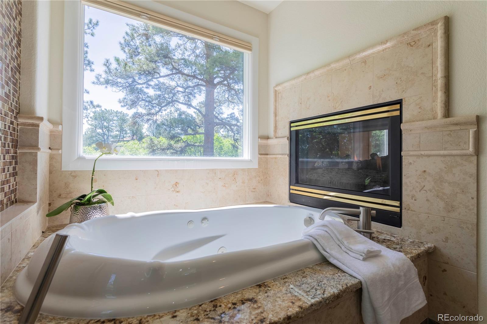 MLS Image #31 for 15  castle pines drive,castle rock, Colorado