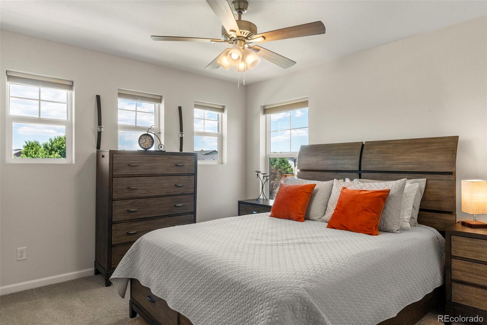 MLS Image #19 for 4510  grapevine way,castle rock, Colorado