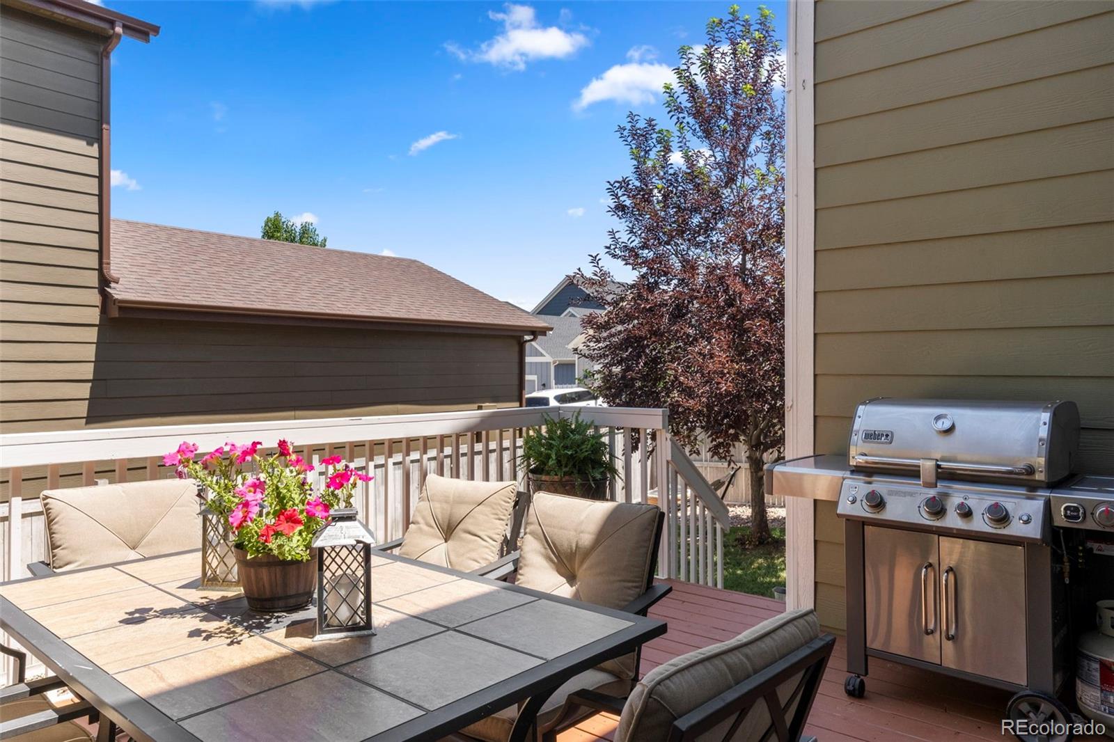 MLS Image #21 for 4510  grapevine way,castle rock, Colorado