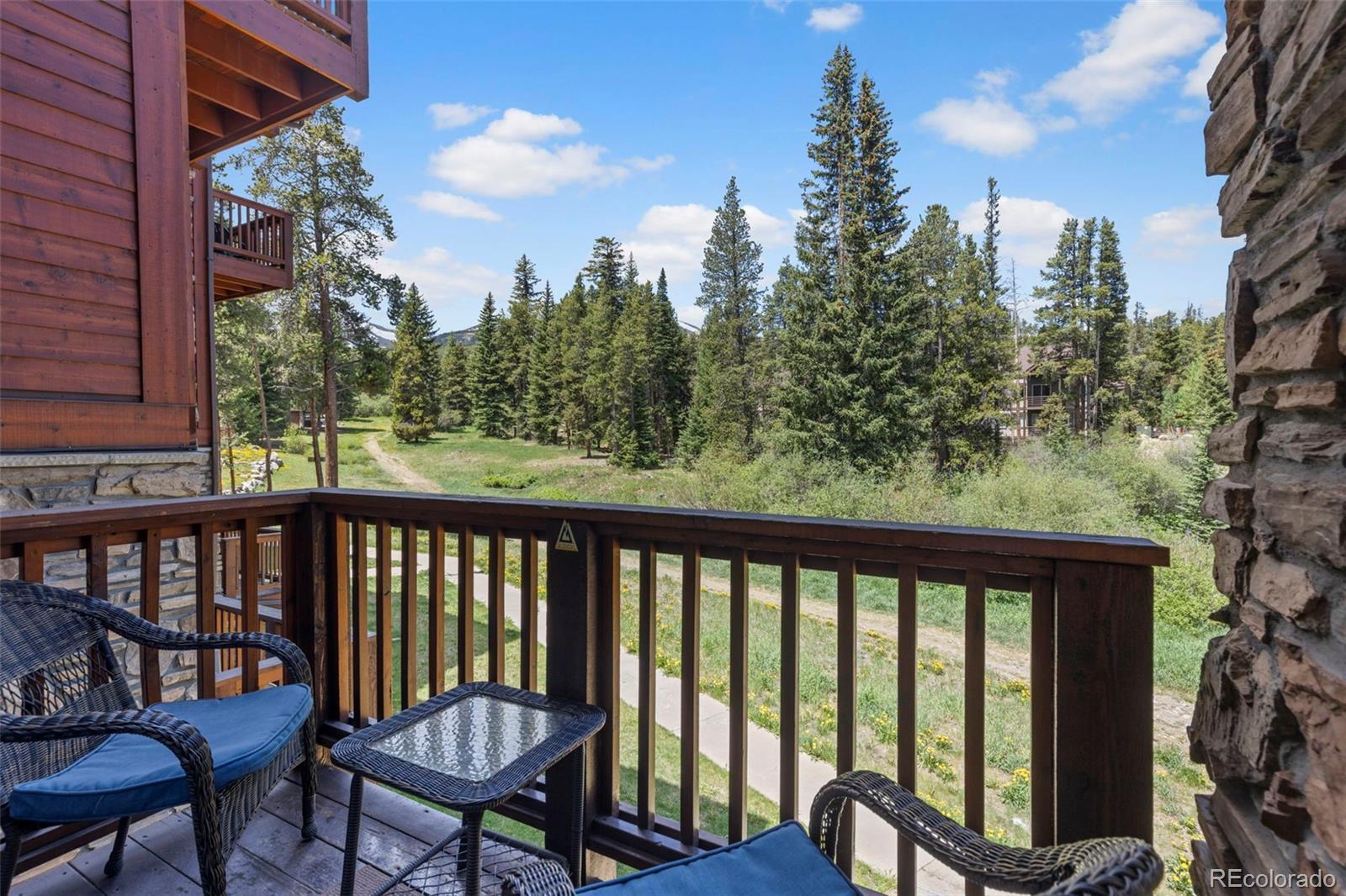 MLS Image #2 for 400  four oclock road,breckenridge, Colorado