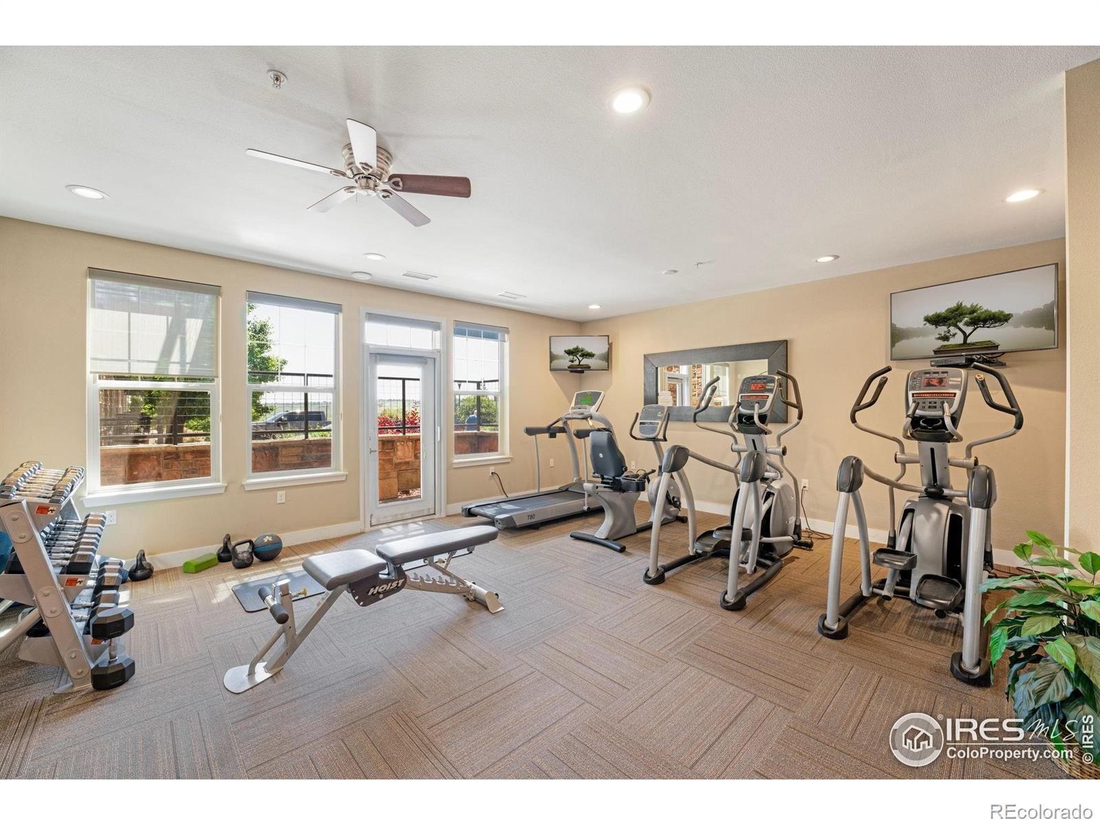 MLS Image #27 for 13598  via varra ,broomfield, Colorado