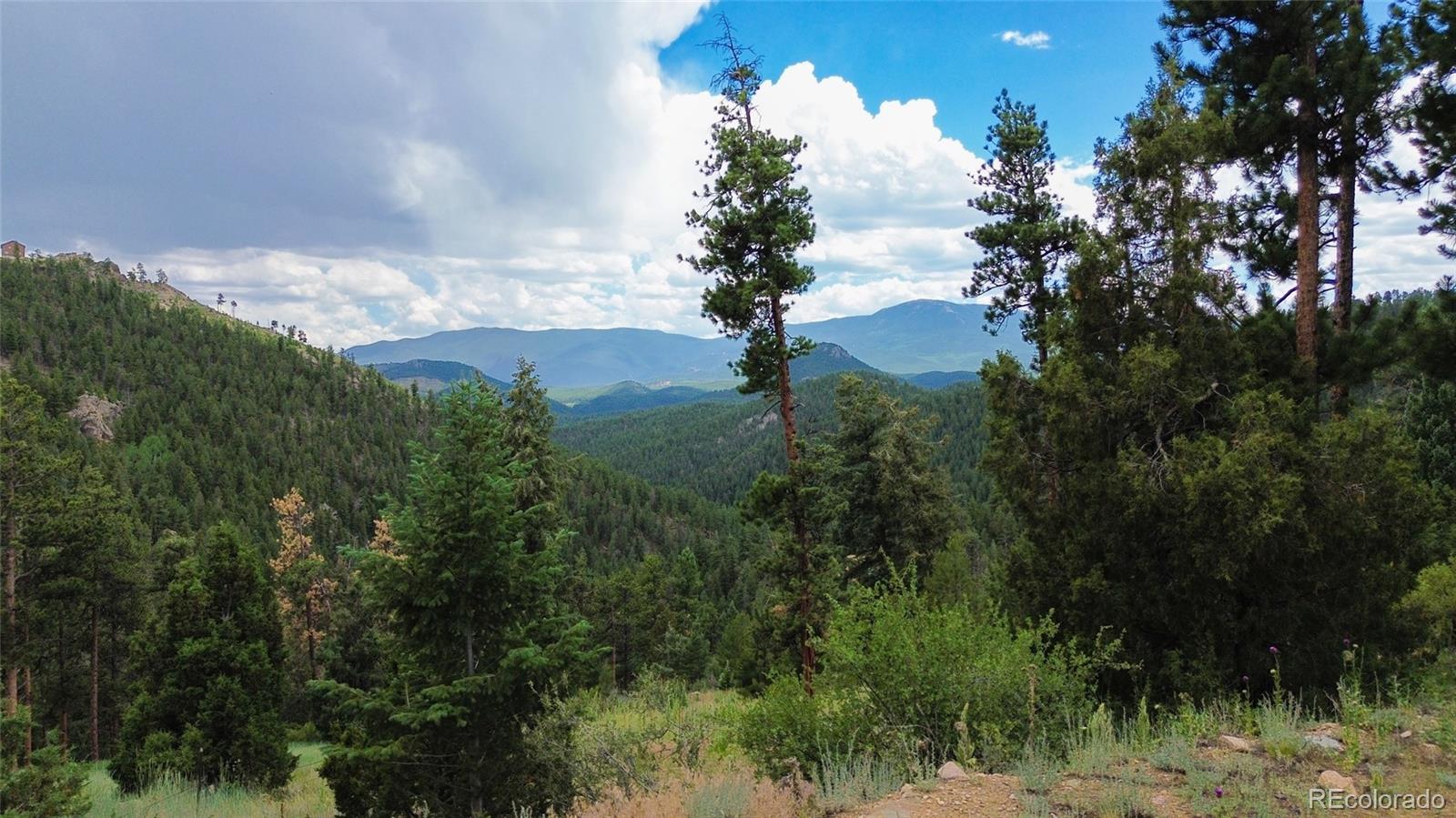 MLS Image #1 for 64  zip lane,bailey, Colorado