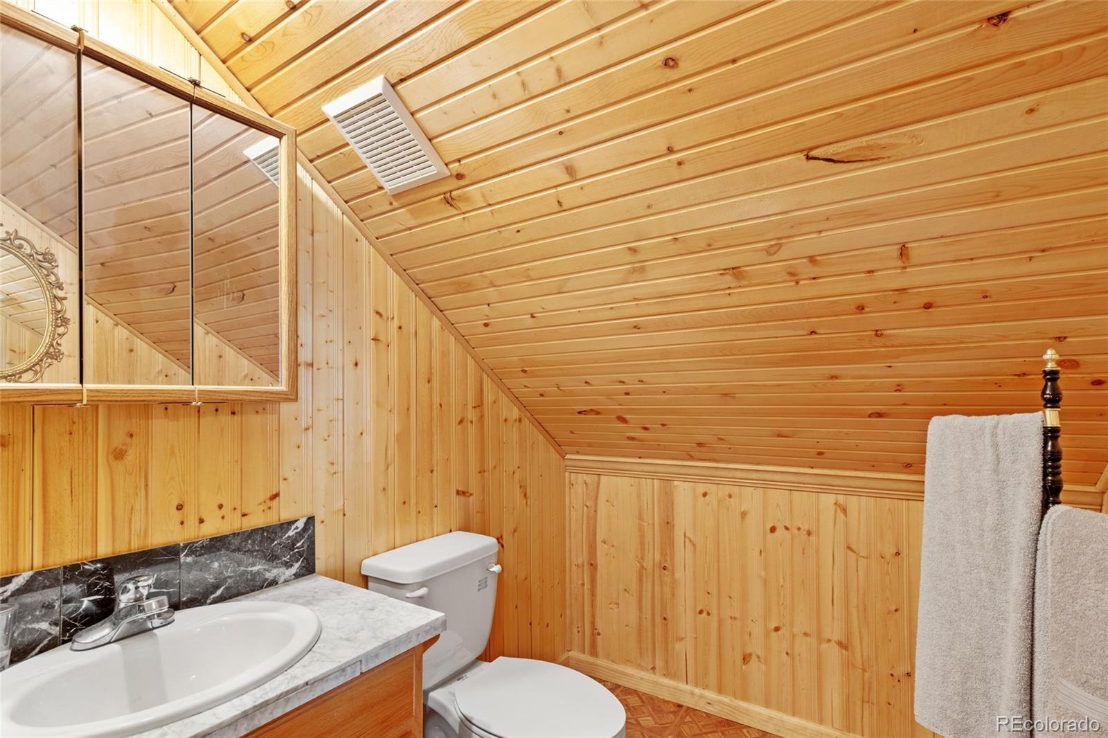 MLS Image #21 for 64  zip lane,bailey, Colorado