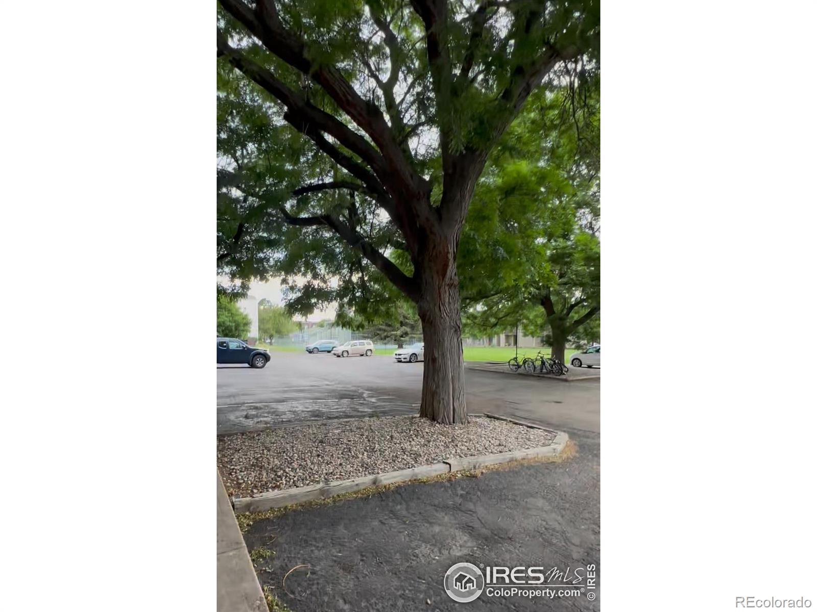 MLS Image #37 for 512 e monroe drive,fort collins, Colorado