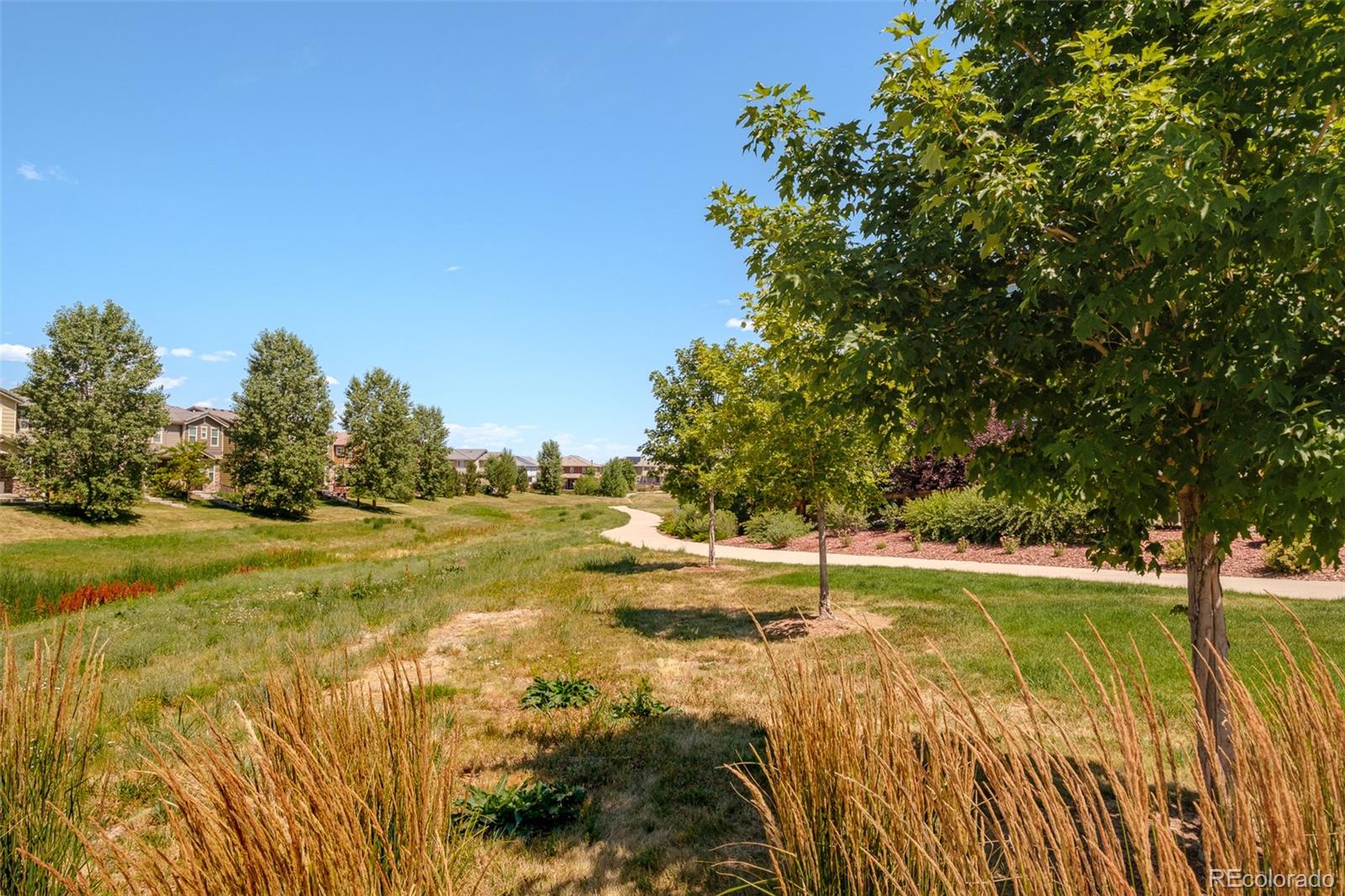 MLS Image #42 for 10238  tall oaks circle,parker, Colorado
