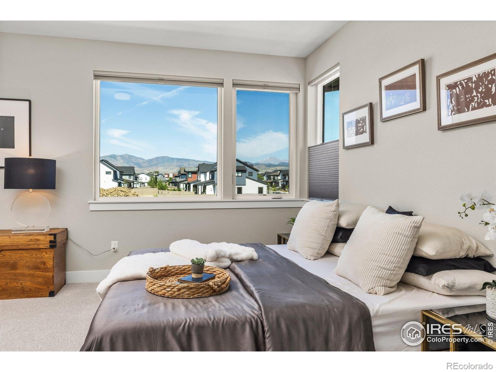 MLS Image #17 for 5584  cottontail drive,longmont, Colorado