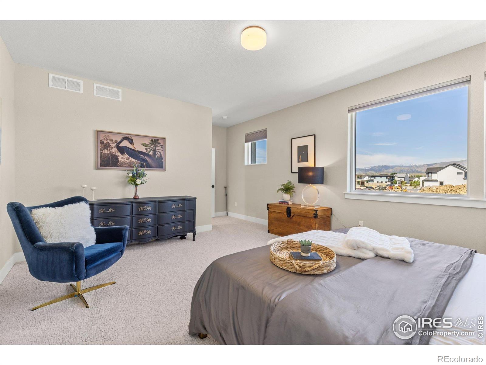 MLS Image #18 for 5584  cottontail drive,longmont, Colorado