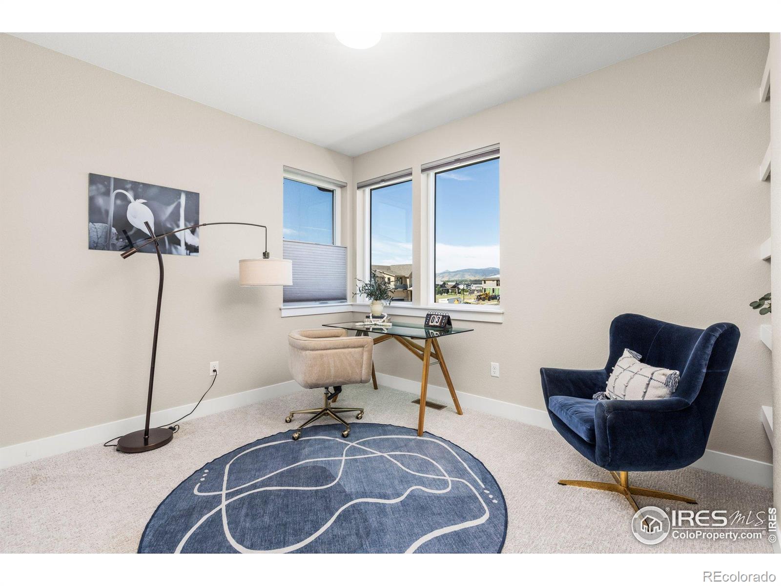 MLS Image #21 for 5584  cottontail drive,longmont, Colorado