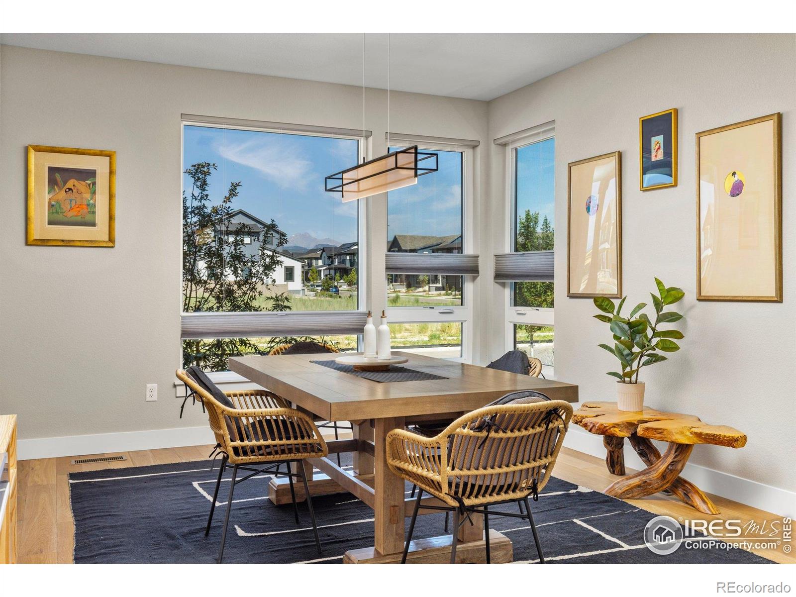 MLS Image #5 for 5584  cottontail drive,longmont, Colorado