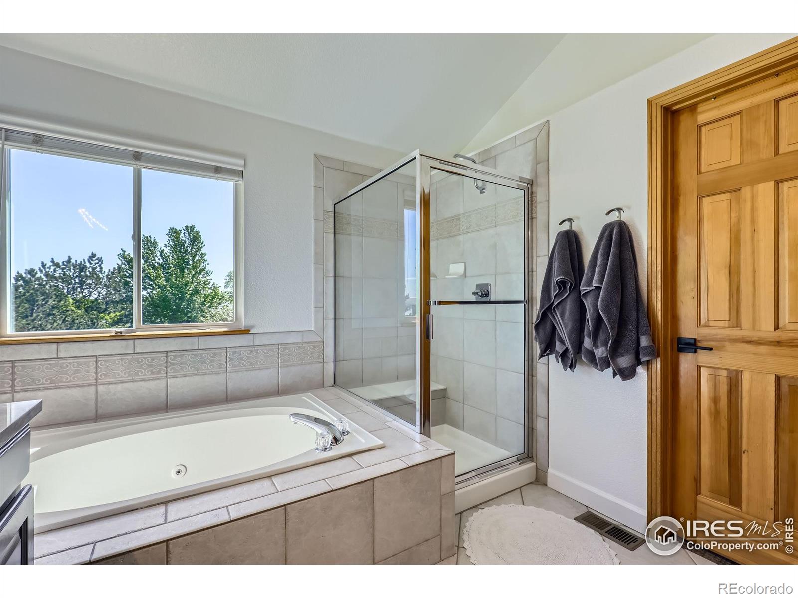 MLS Image #17 for 6366  umber circle,arvada, Colorado