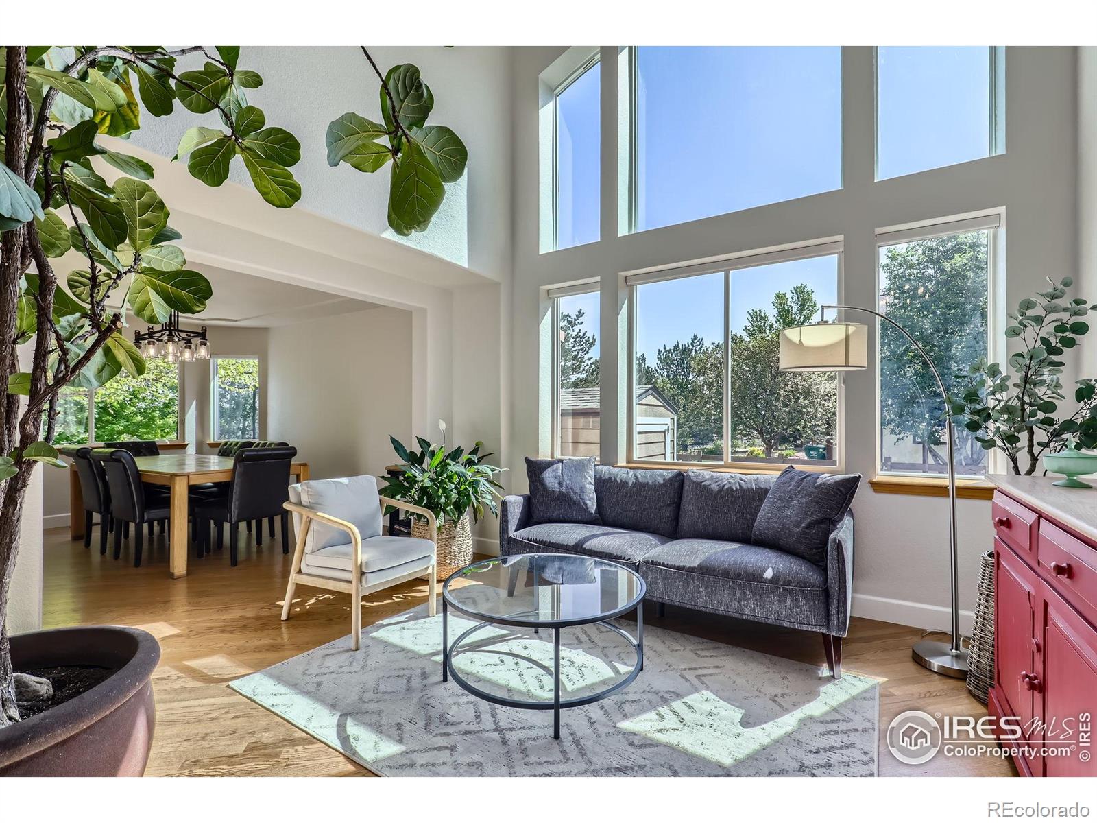 MLS Image #5 for 6366  umber circle,arvada, Colorado