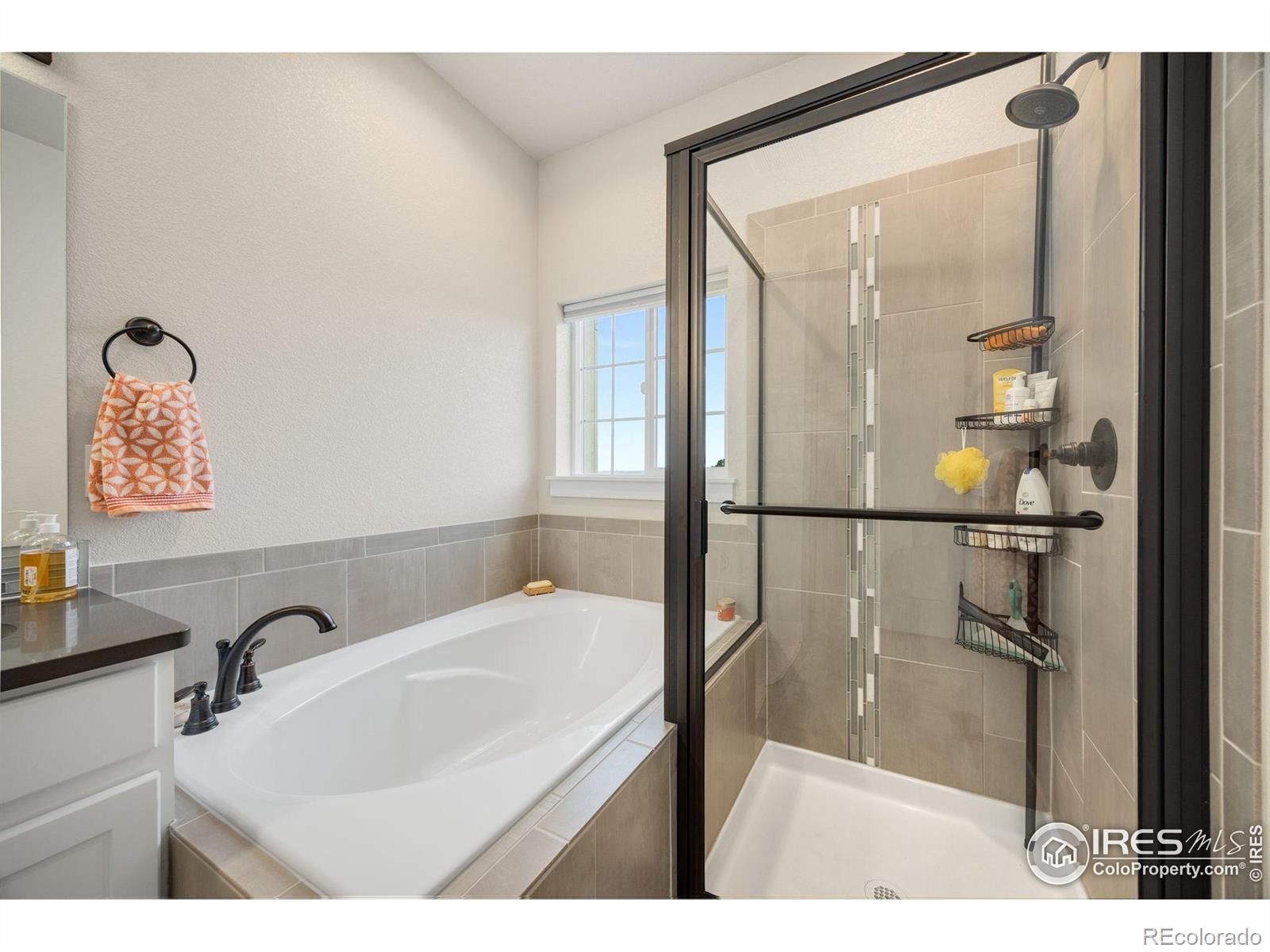 MLS Image #18 for 4846  northern lights drive,fort collins, Colorado