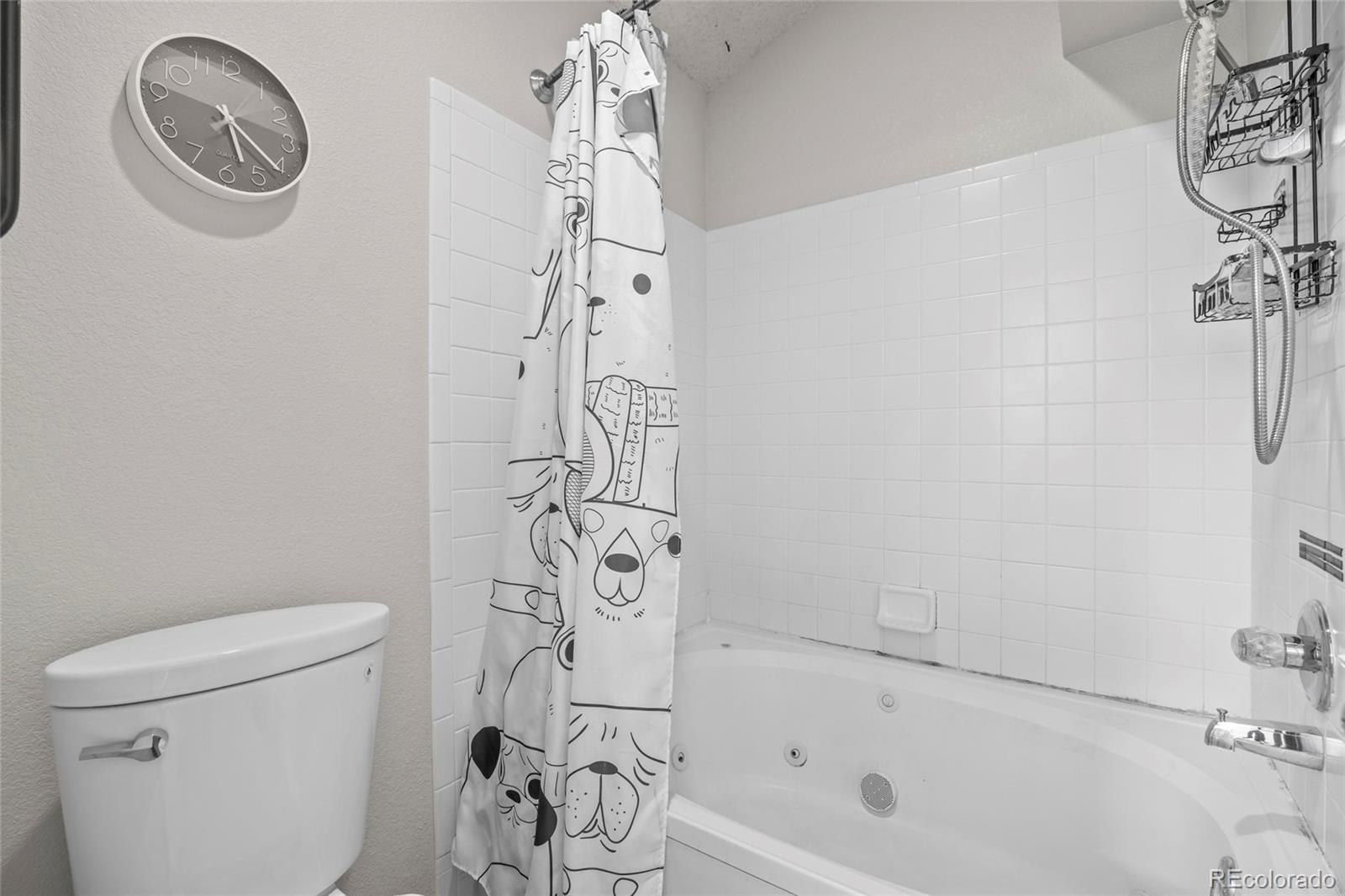 MLS Image #21 for 12545  tammywood street,broomfield, Colorado