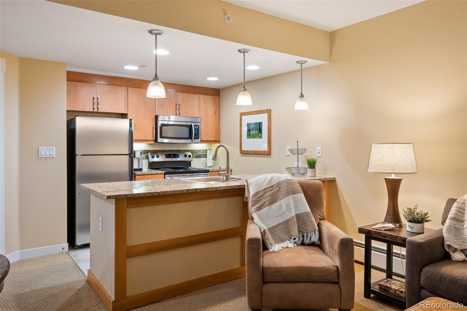 MLS Image #10 for 670  winter park drive,winter park, Colorado