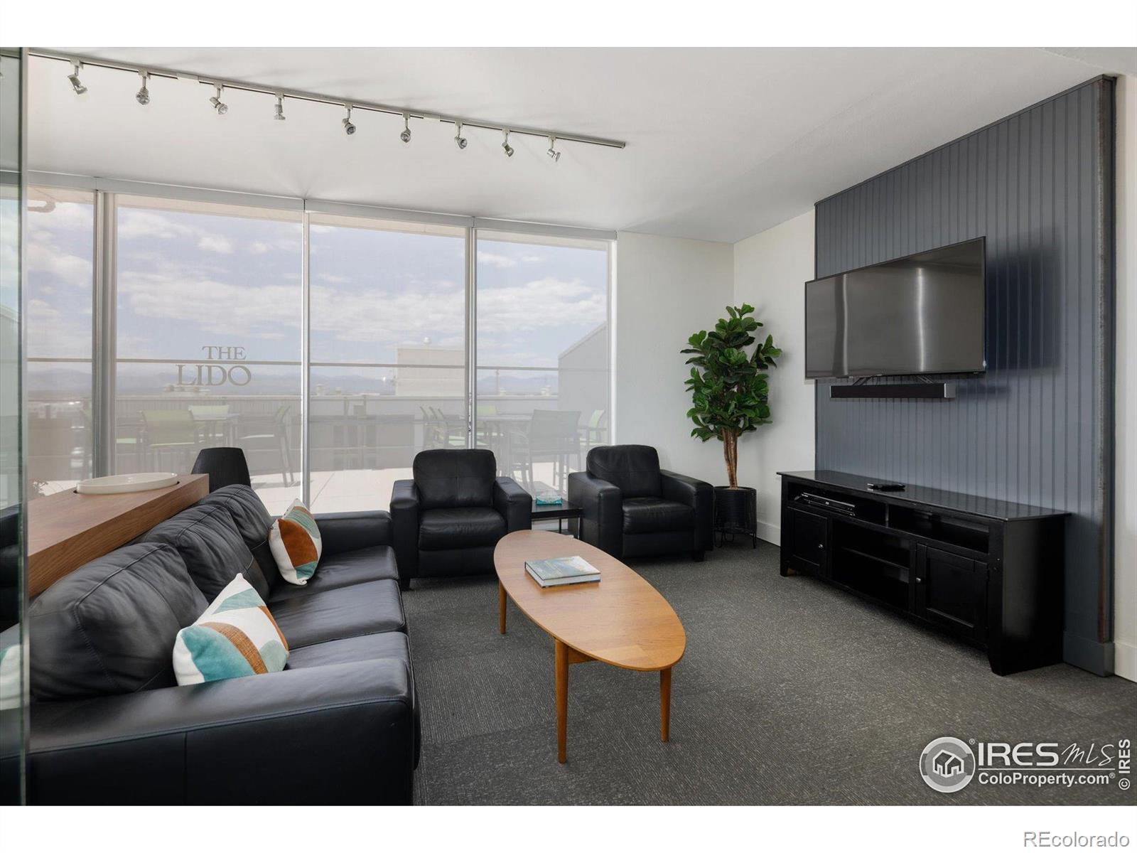 MLS Image #34 for 790 n washington street,denver, Colorado