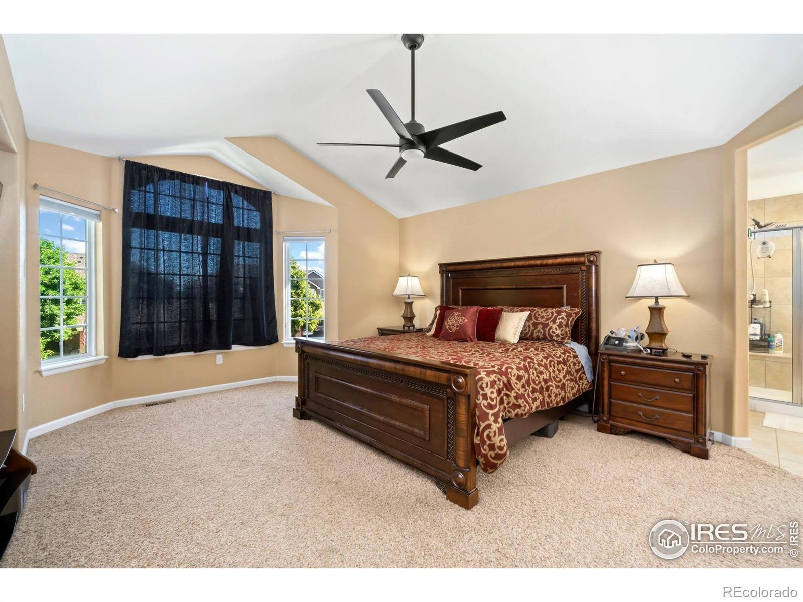 MLS Image #10 for 3774  brunner boulevard,johnstown, Colorado