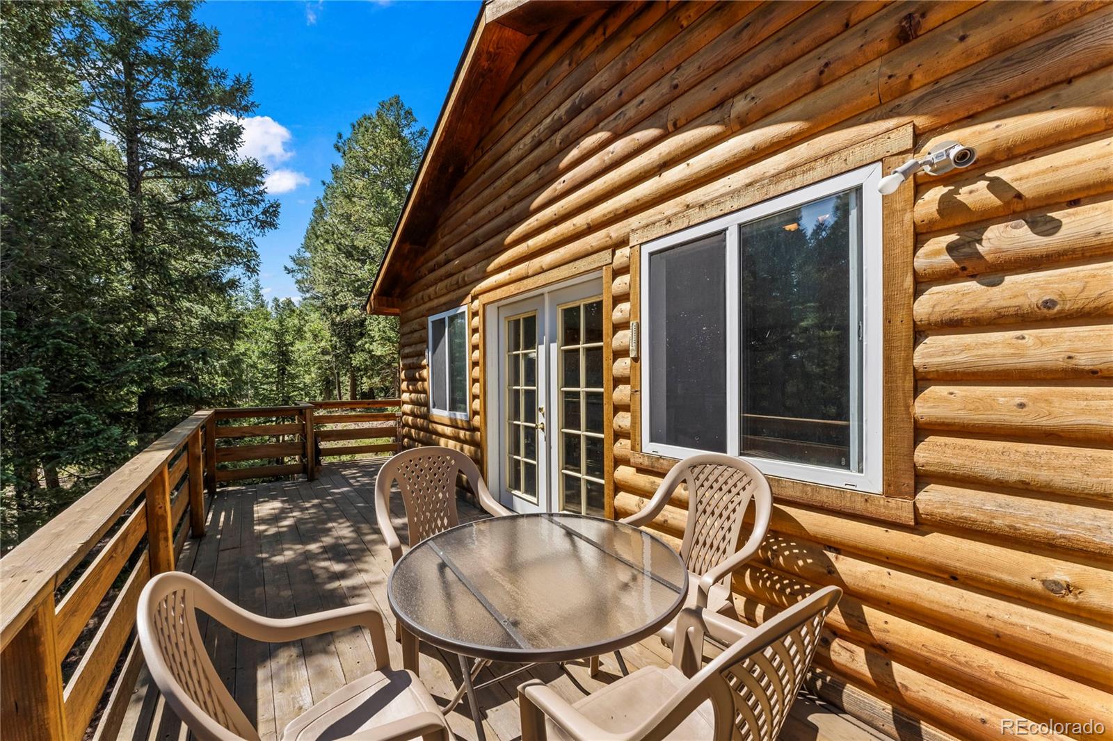 MLS Image #10 for 485  donzi trail,florissant, Colorado