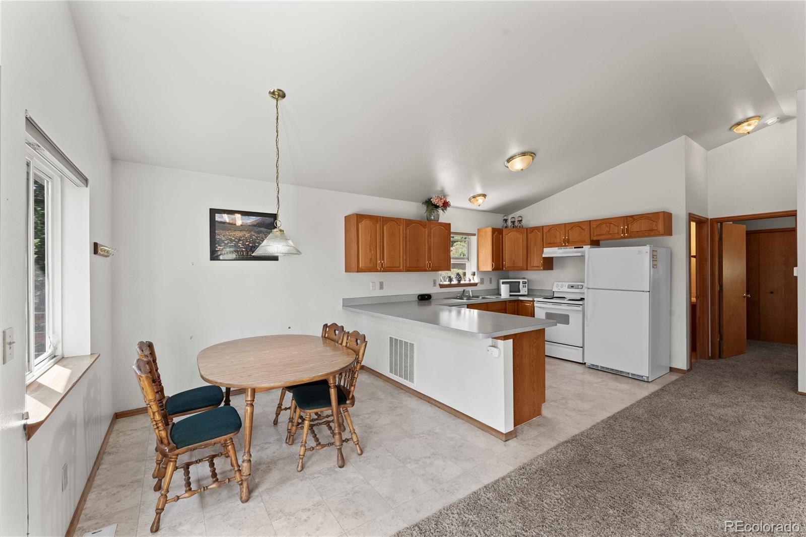 MLS Image #12 for 485  donzi trail,florissant, Colorado