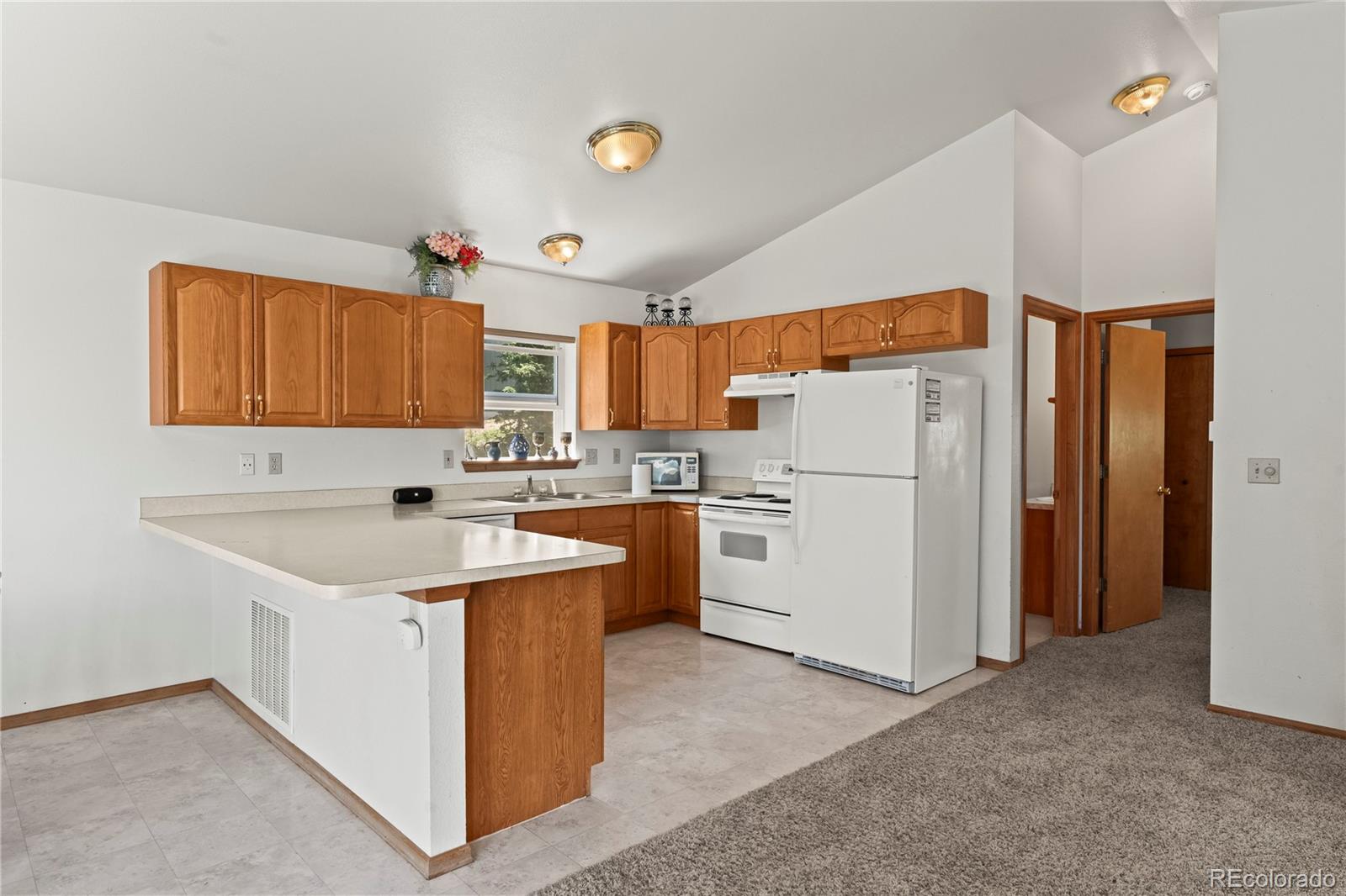 MLS Image #15 for 485  donzi trail,florissant, Colorado