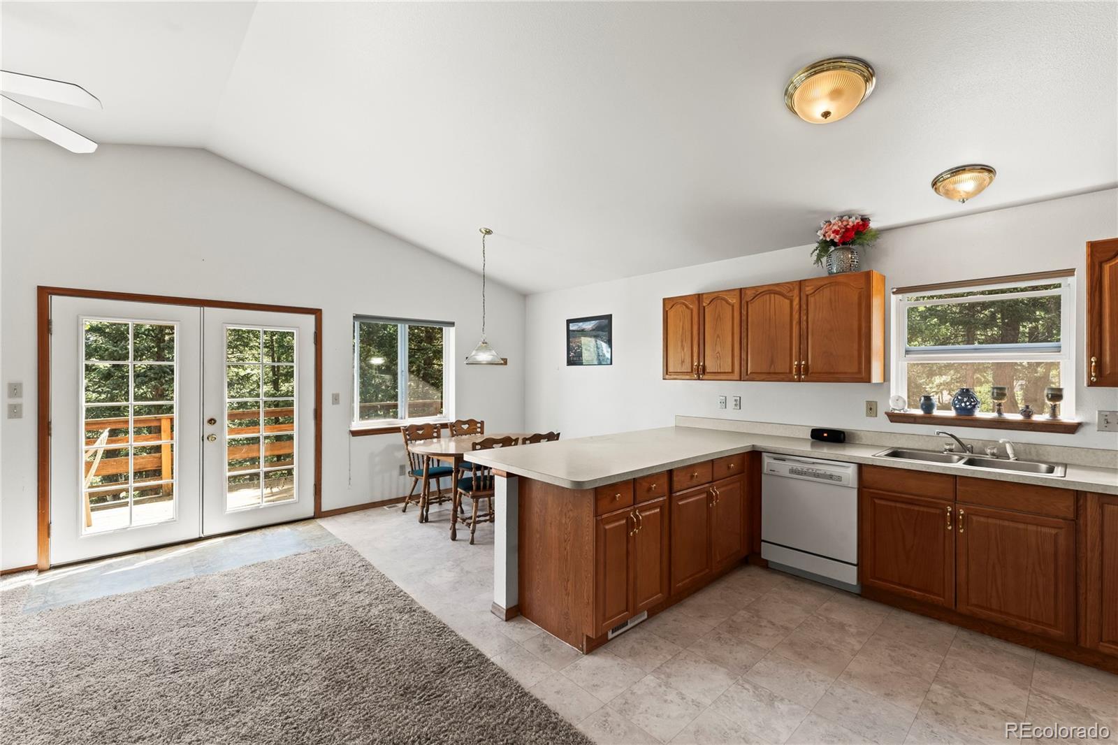 MLS Image #16 for 485  donzi trail,florissant, Colorado