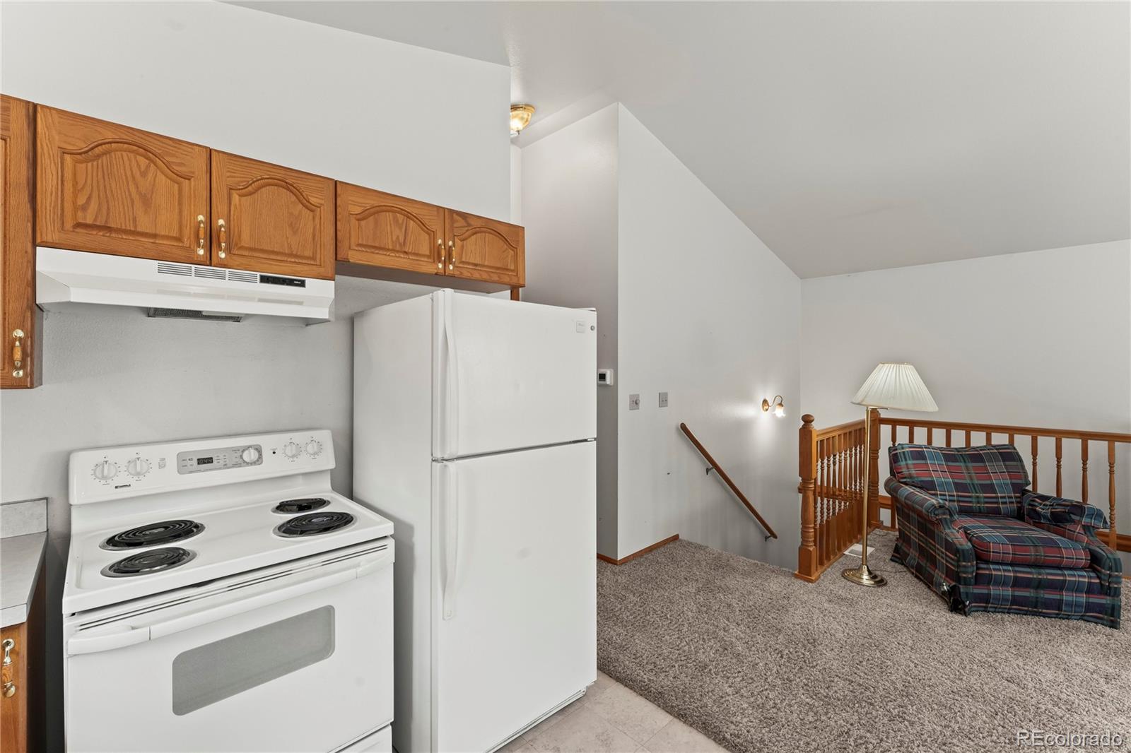 MLS Image #17 for 485  donzi trail,florissant, Colorado