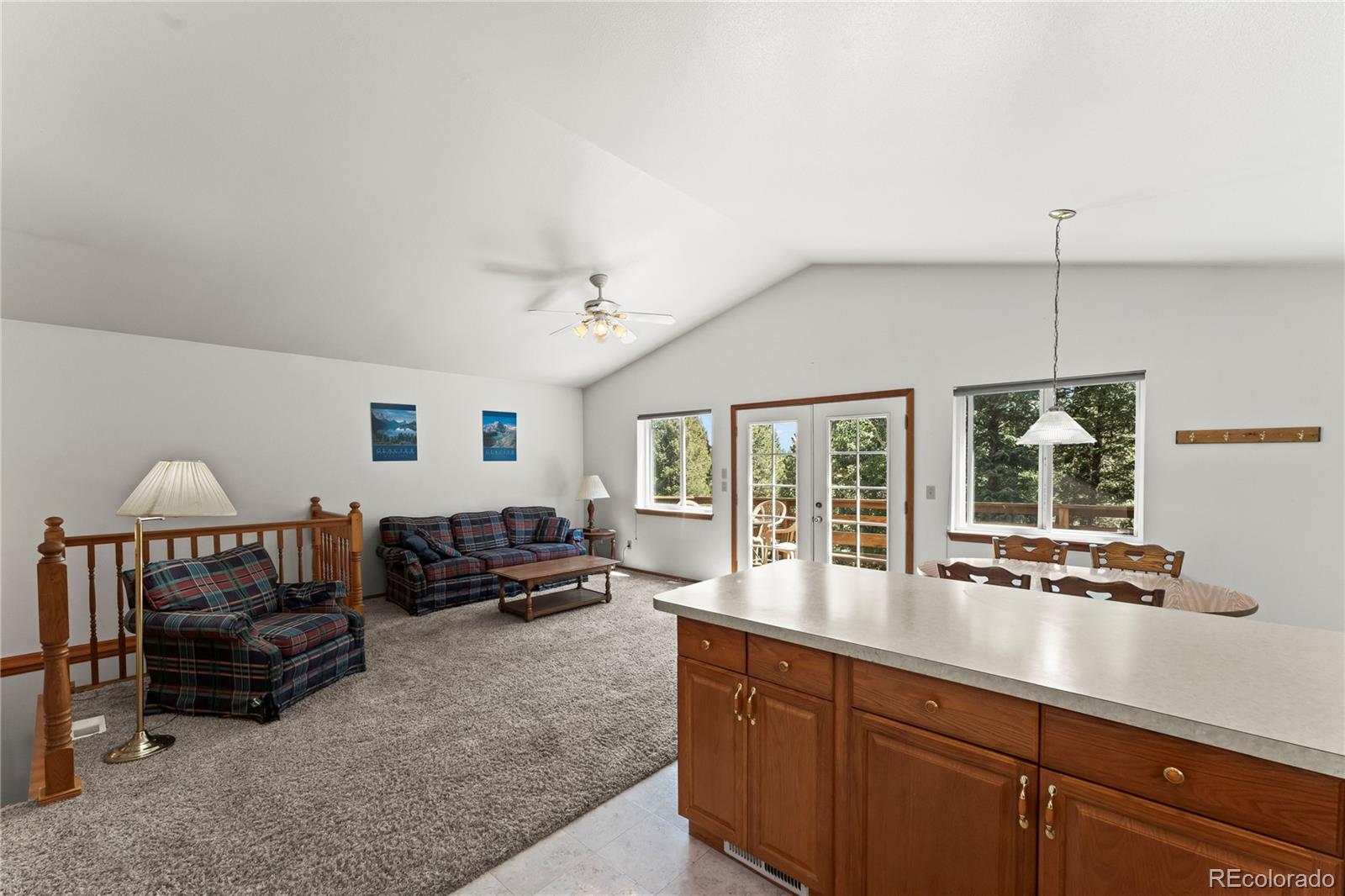 MLS Image #18 for 485  donzi trail,florissant, Colorado